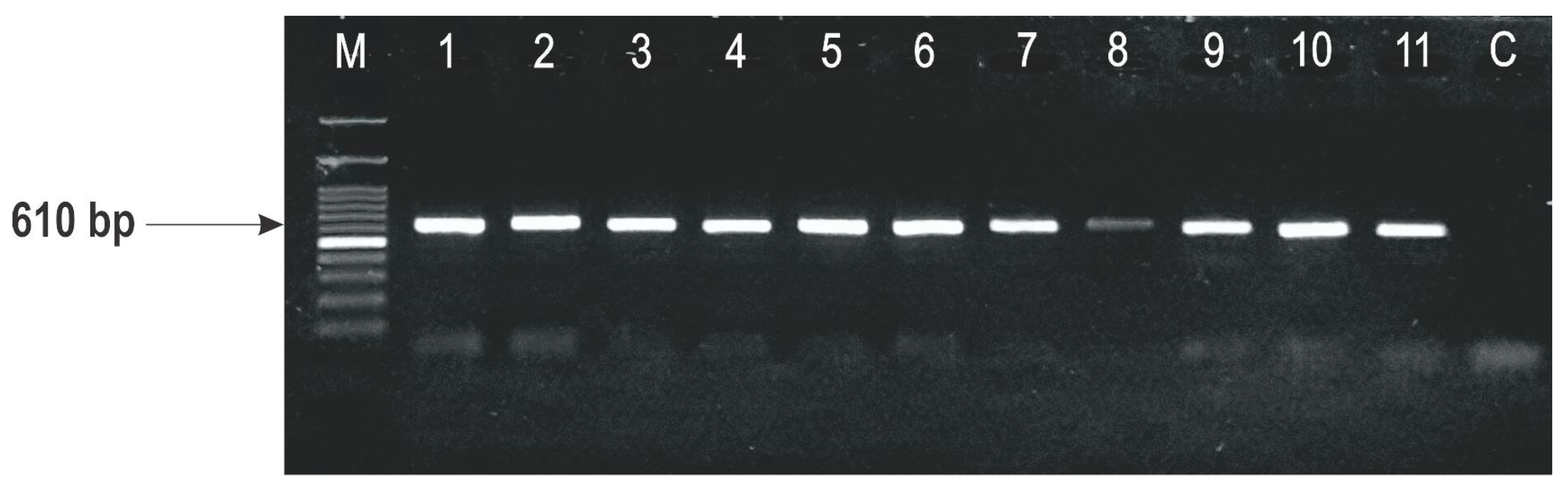Toxins 10 00460 g004 Toxins 10 00460 g004