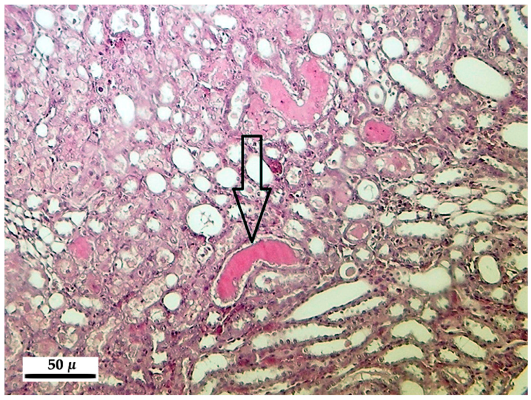 Toxins 10 00465 g002 Toxins 10 00465 g002