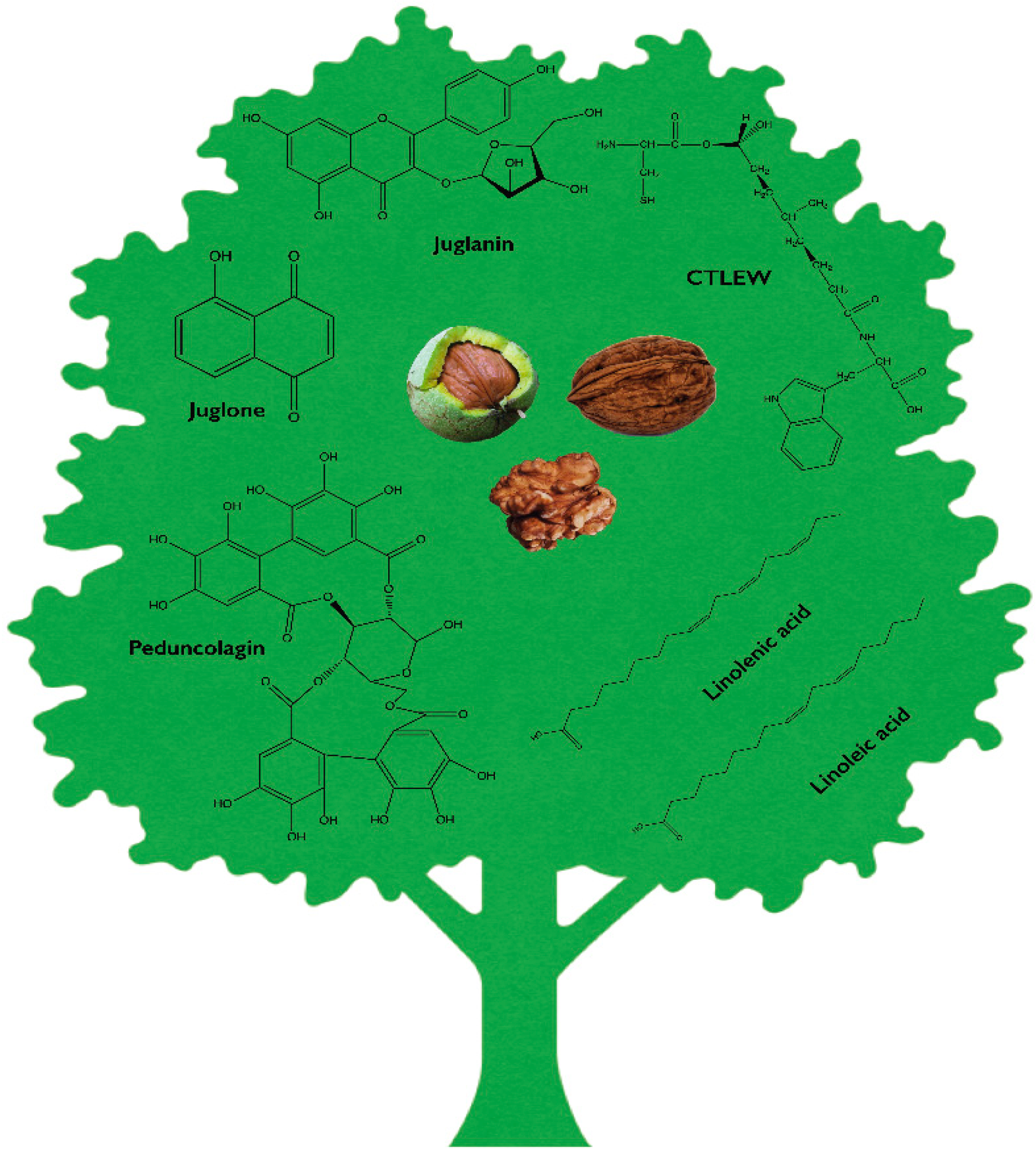 Toxins 10 00469 g001