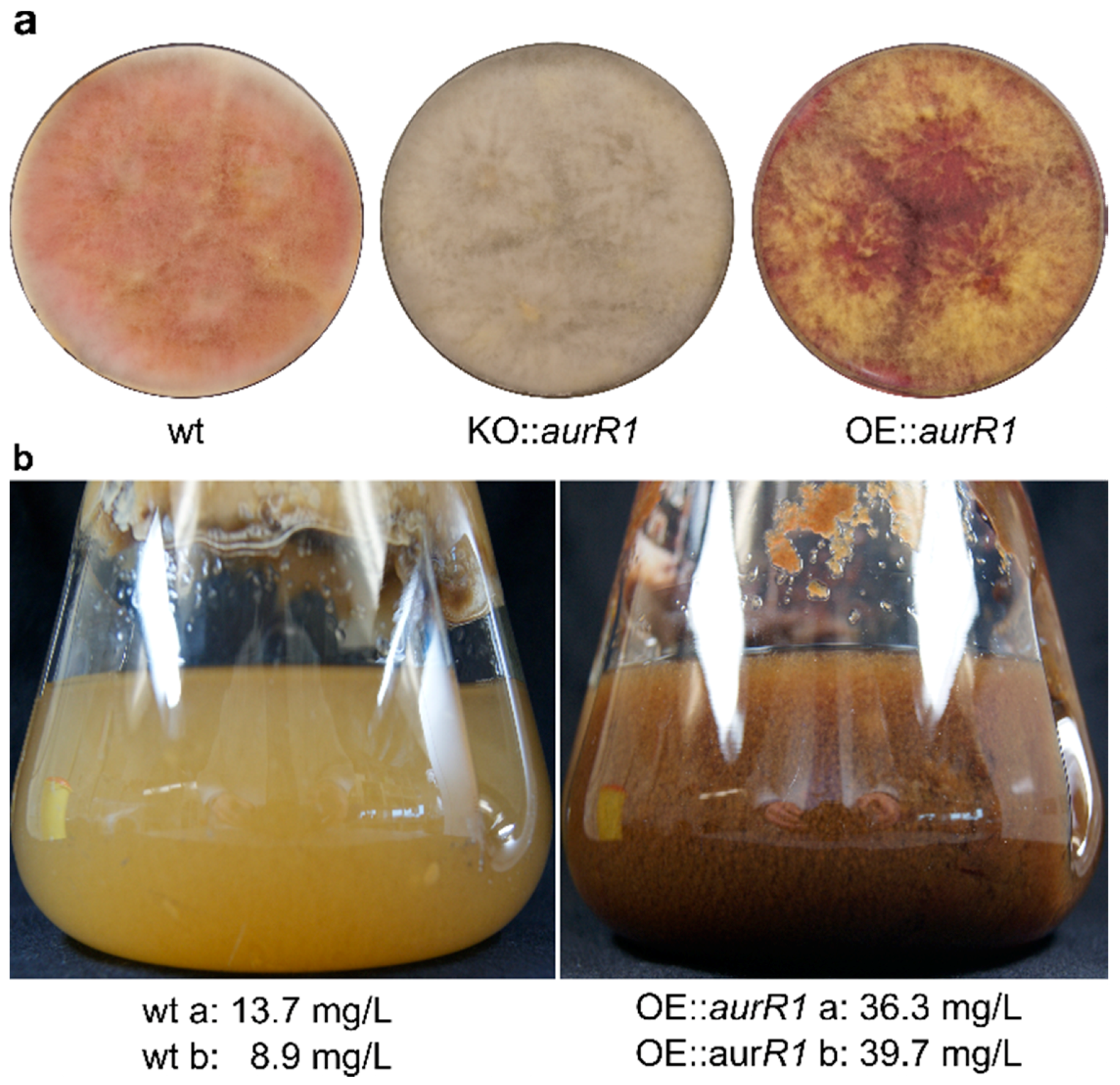 Toxins 10 00485 g003