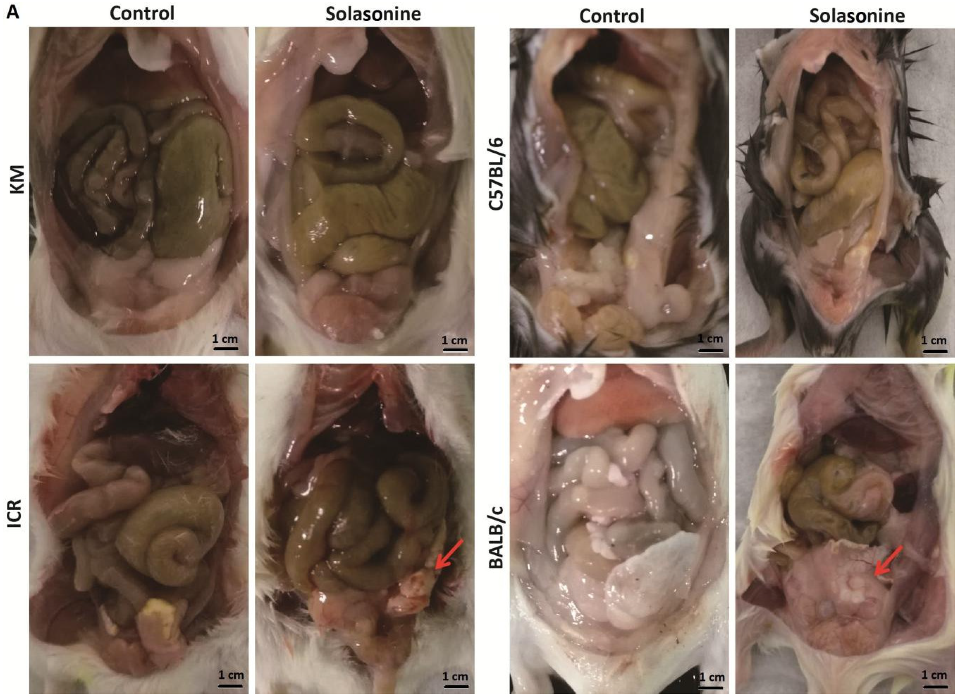 Toxins 10 00487 g004a