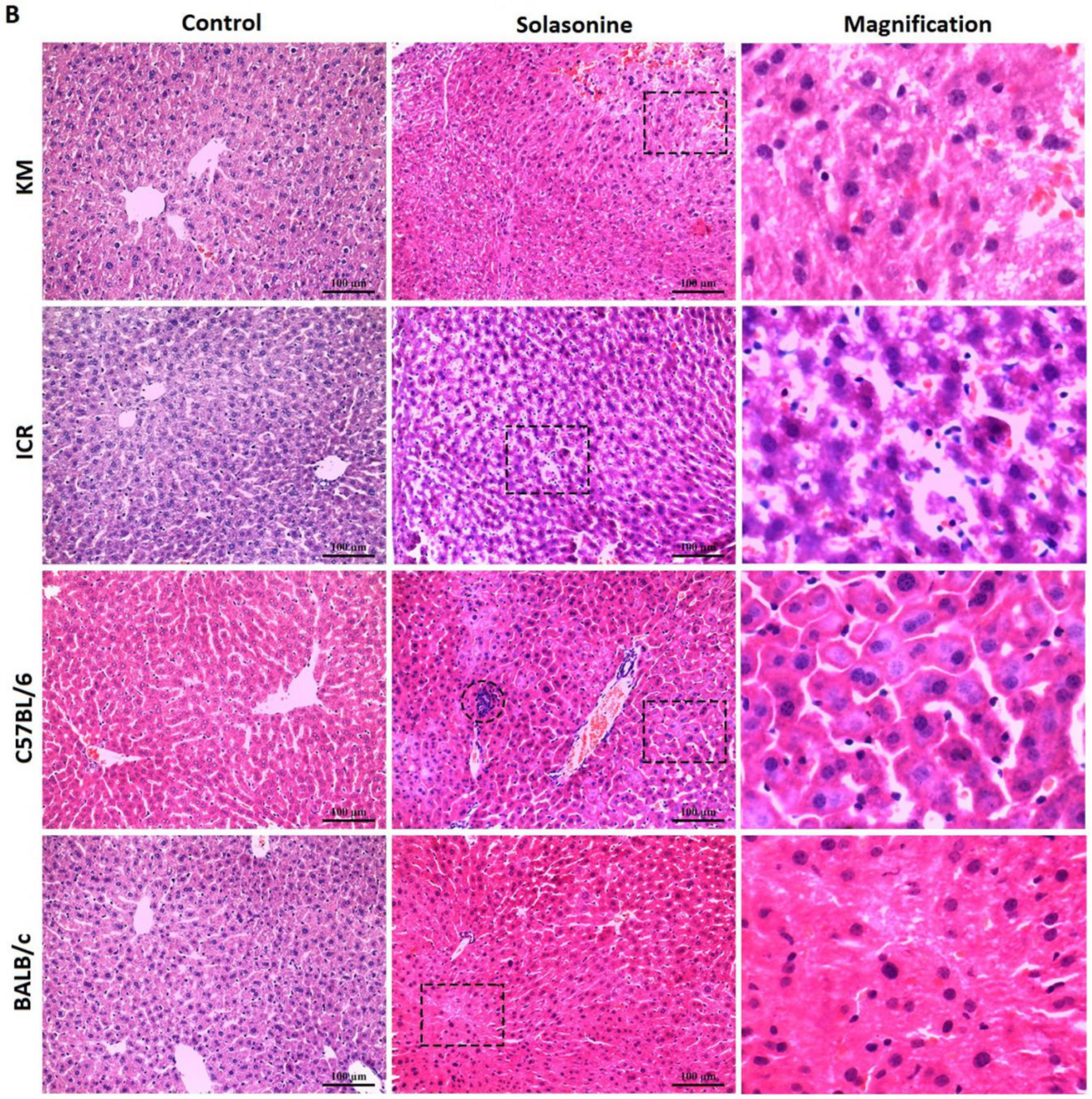 Toxins 10 00487 g004b