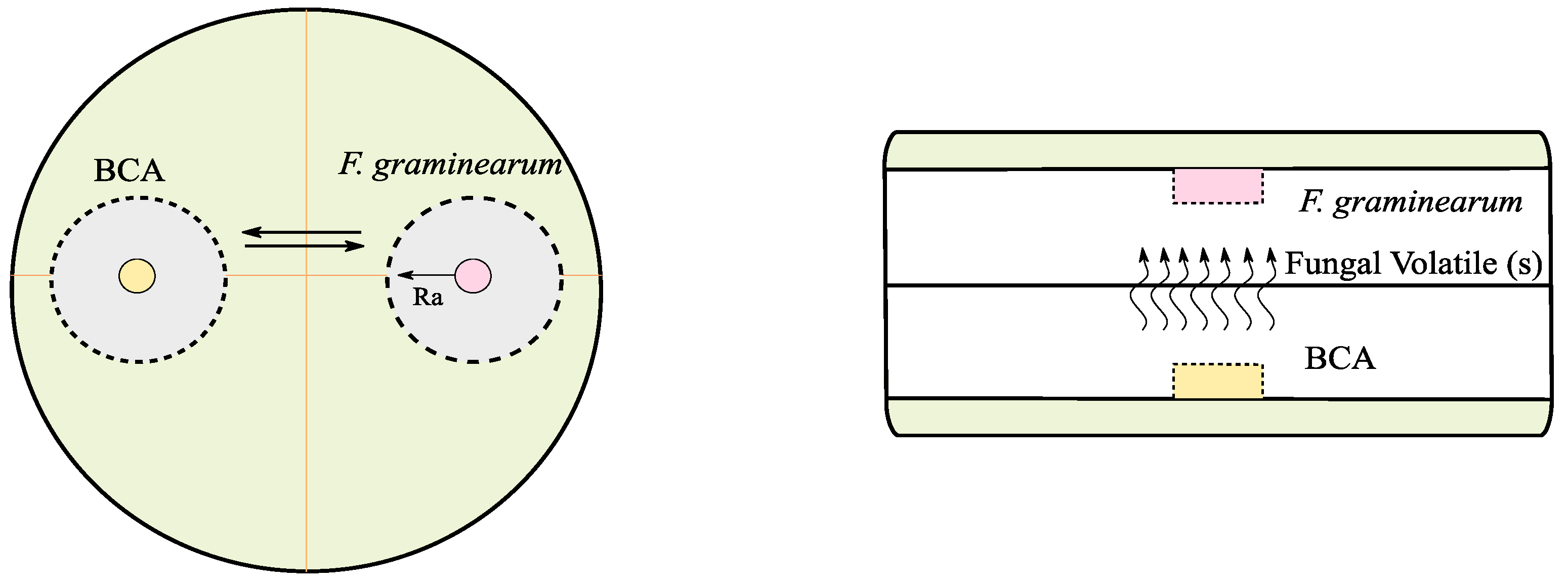 Toxins 10 00493 g006