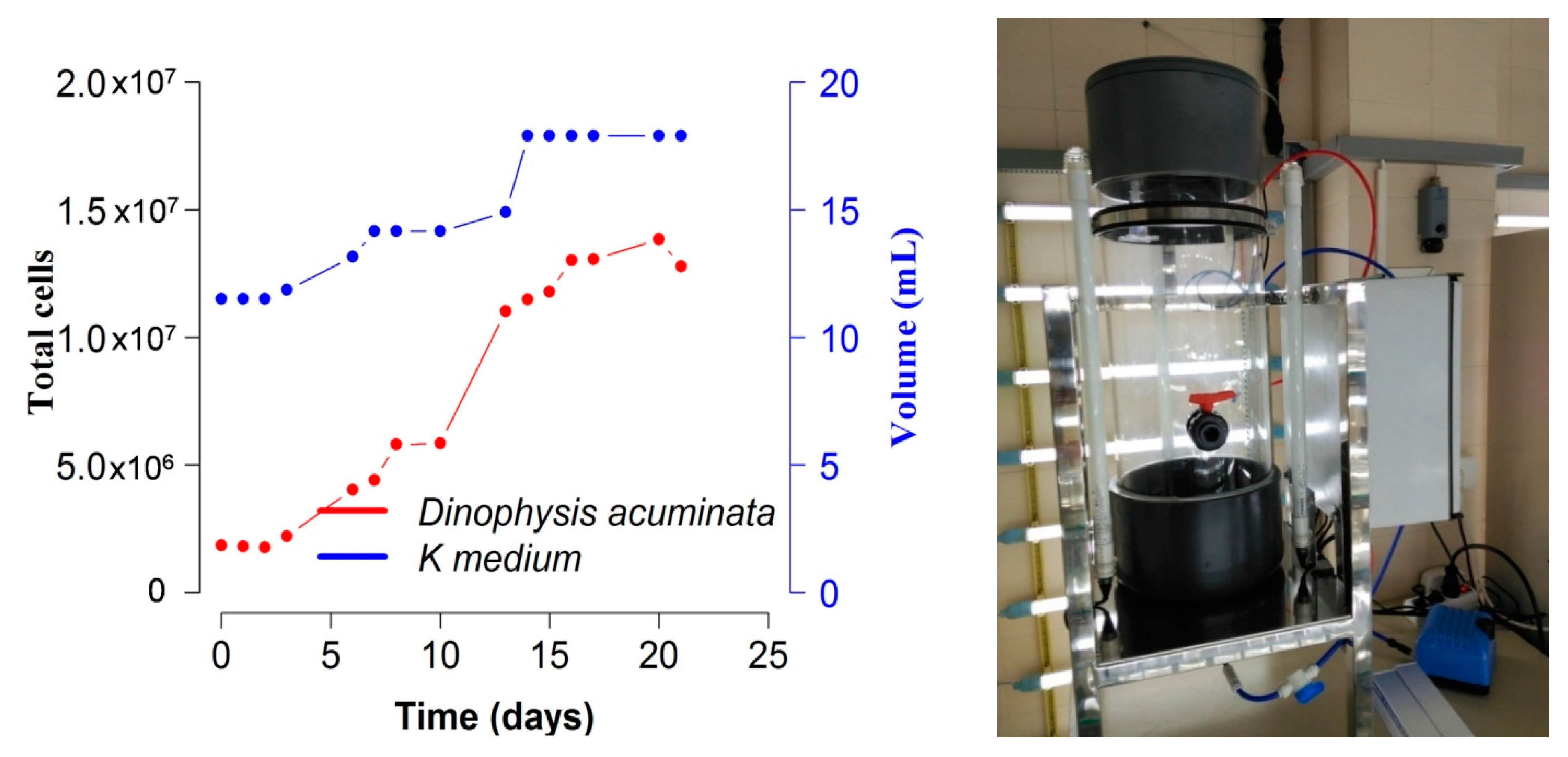 Toxins 10 00505 g007