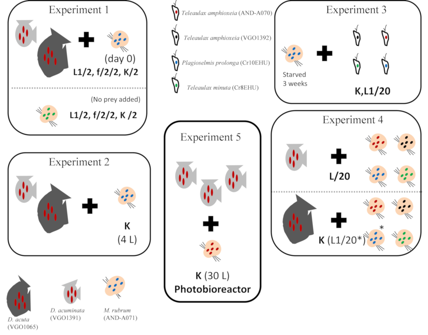 Toxins 10 00505 g009