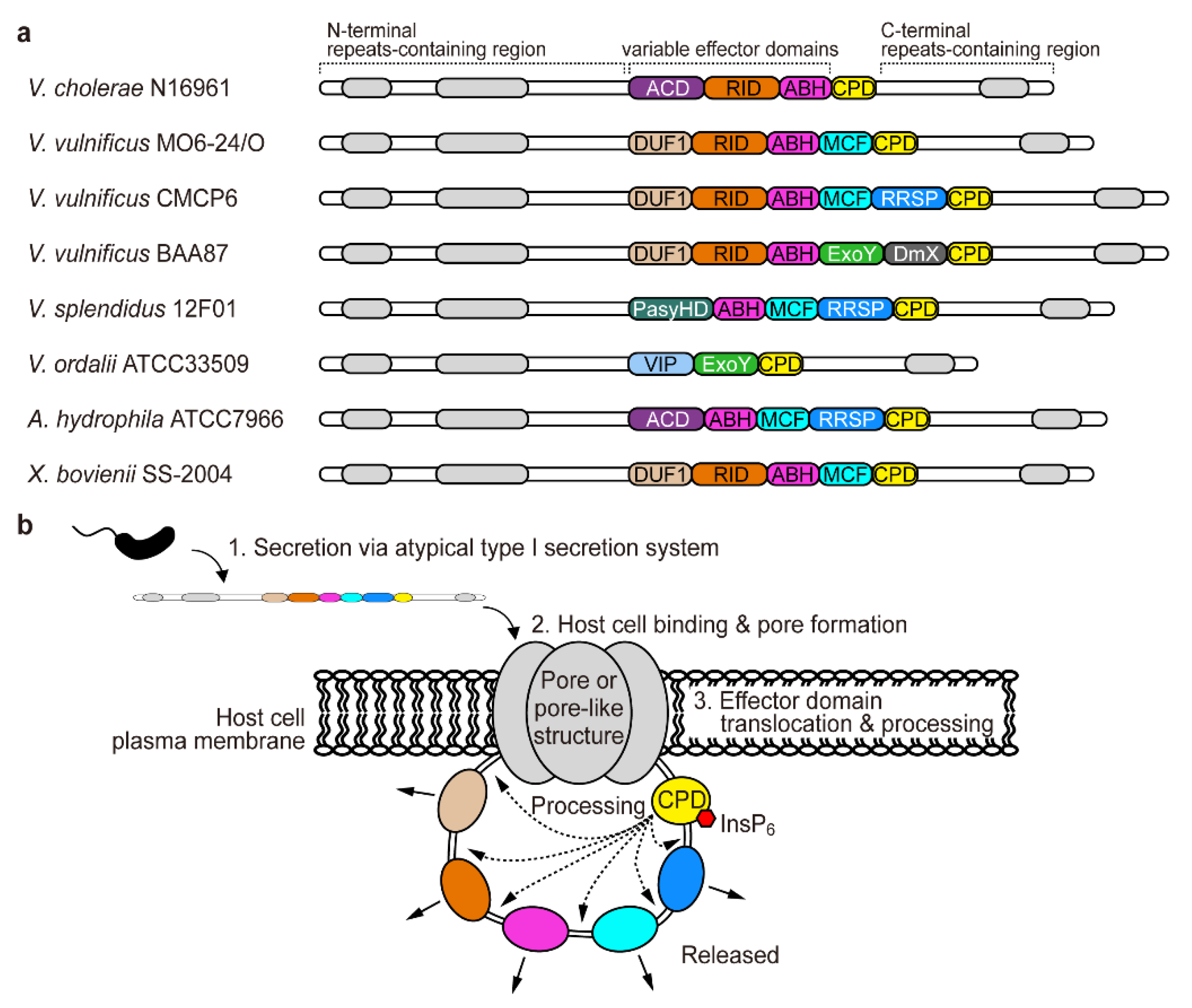 Toxins 10 00507 g001