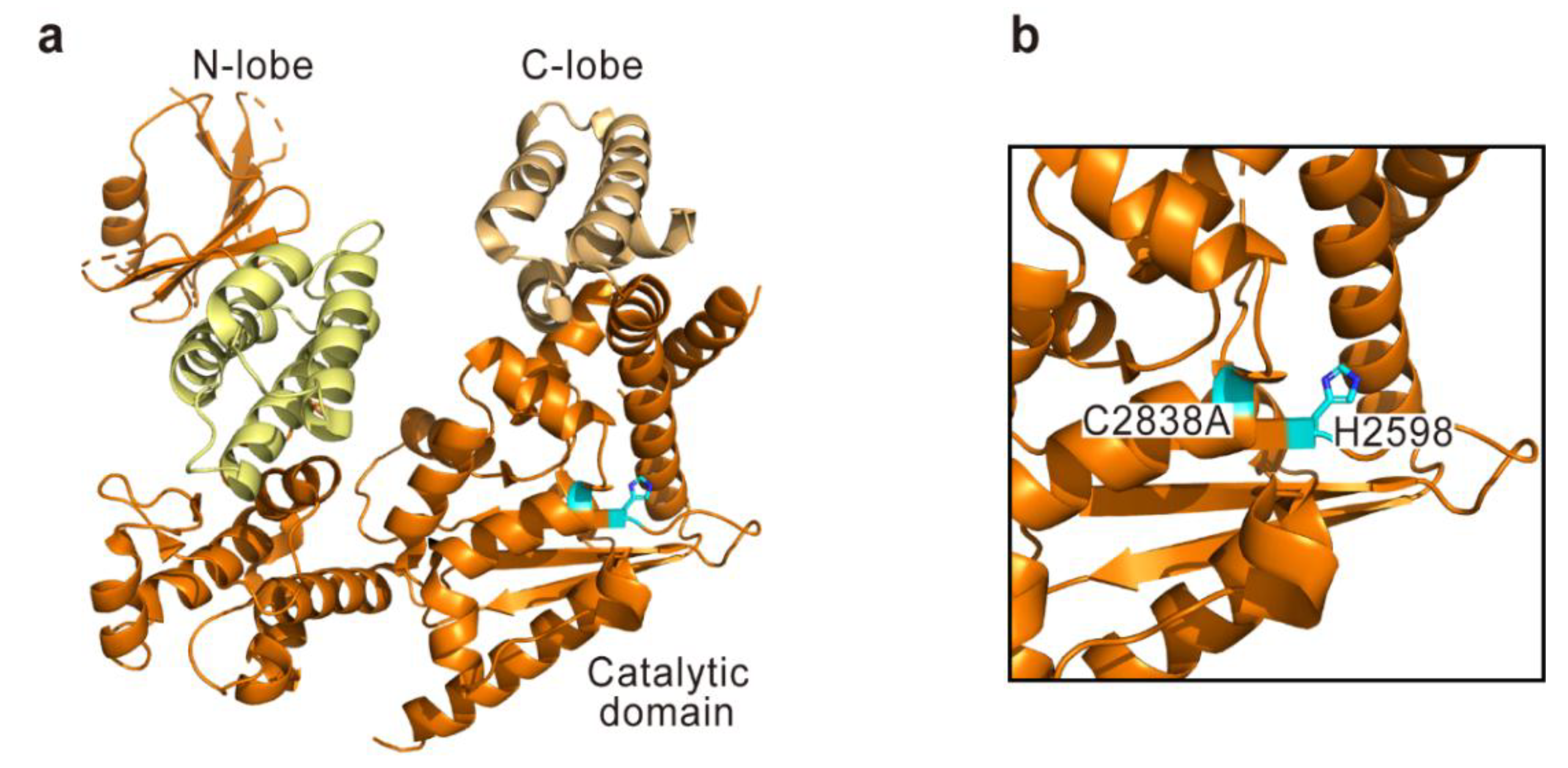 Toxins 10 00507 g003