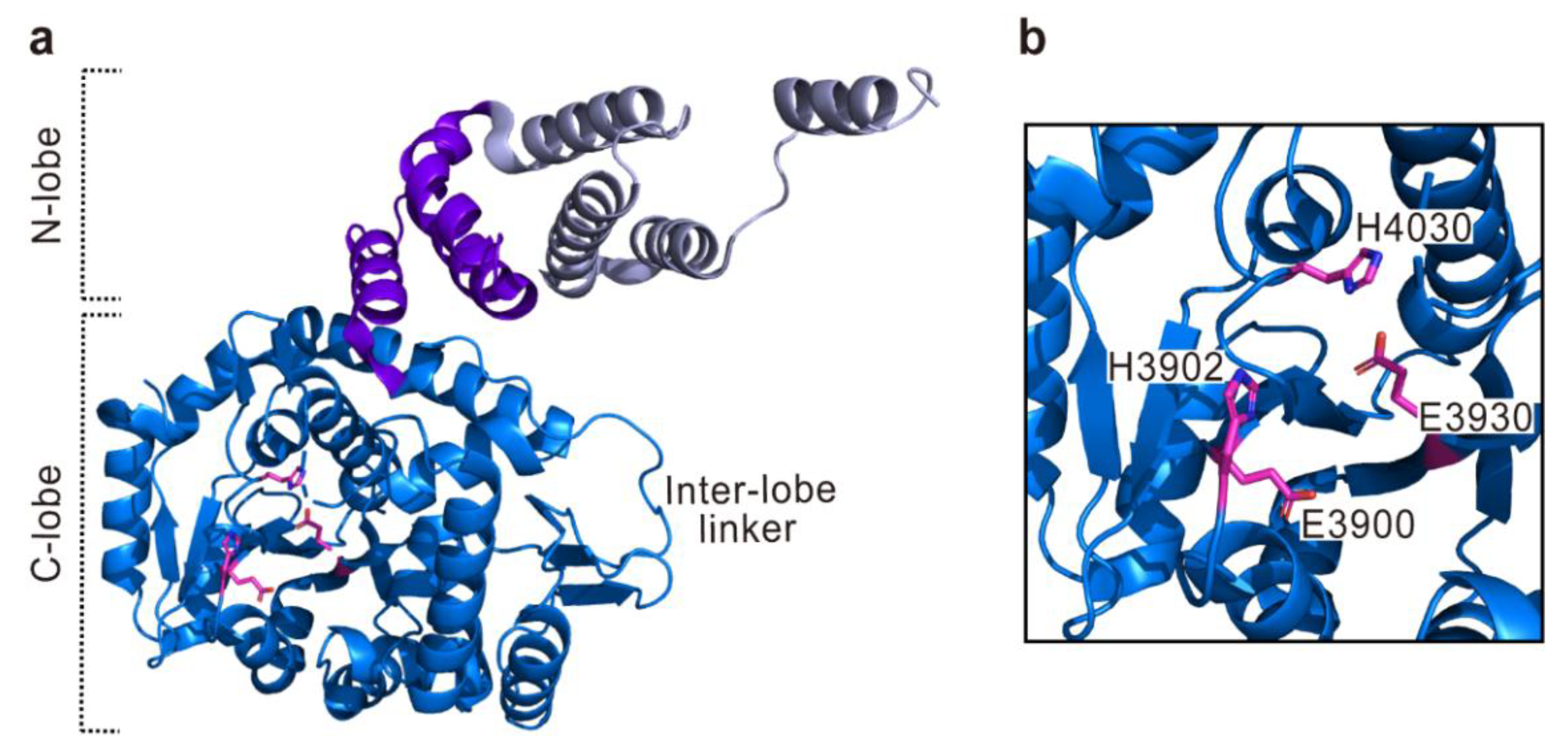 Toxins 10 00507 g006