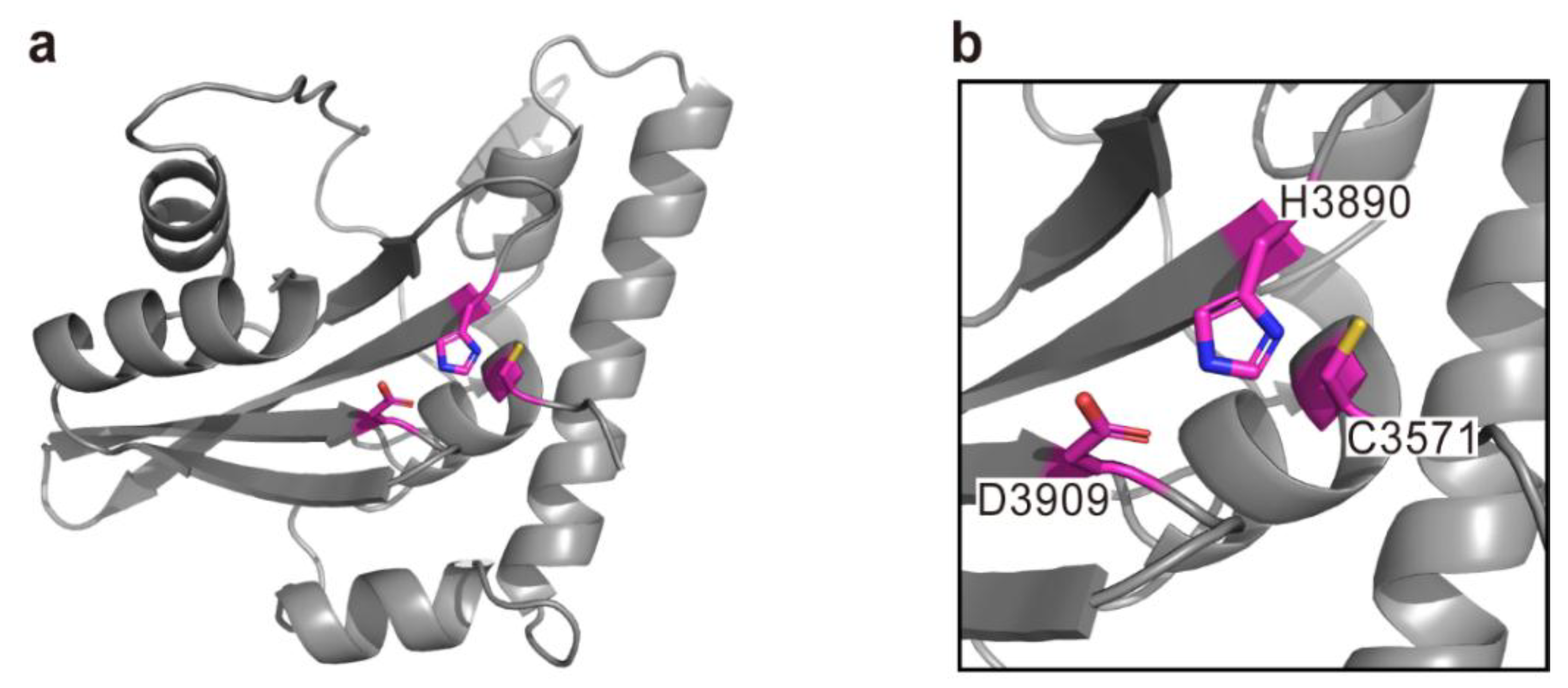 Toxins 10 00507 g008