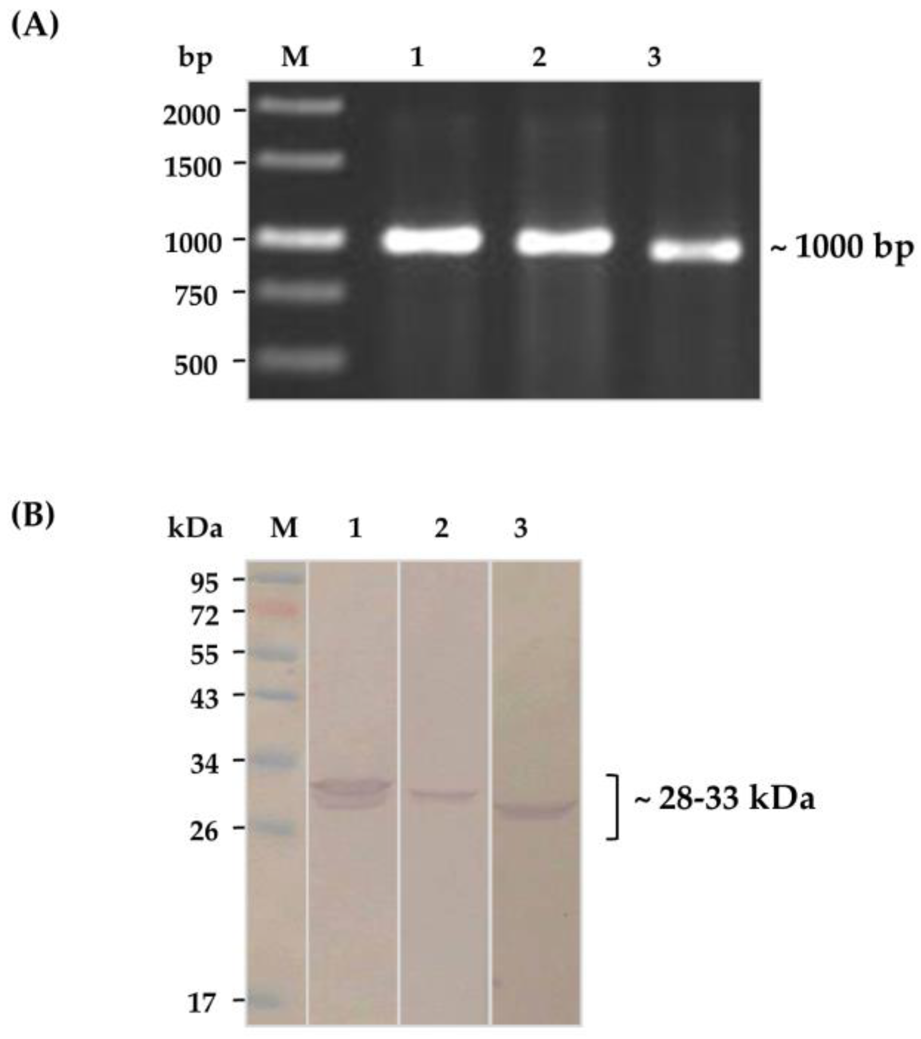 Toxins 10 00509 g003 Toxins 10 00509 g003