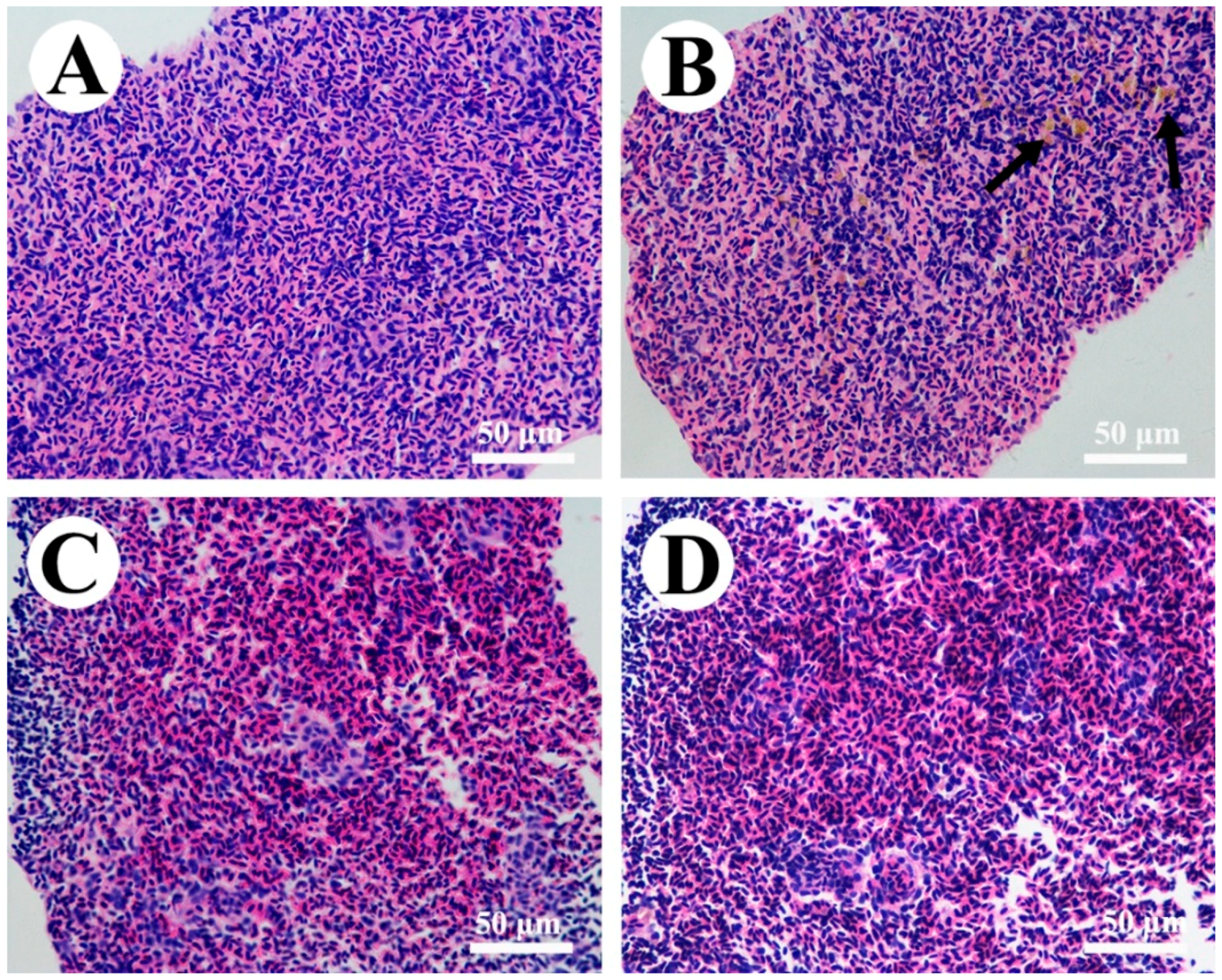 Toxins 10 00512 g003 Toxins 10 00512 g003