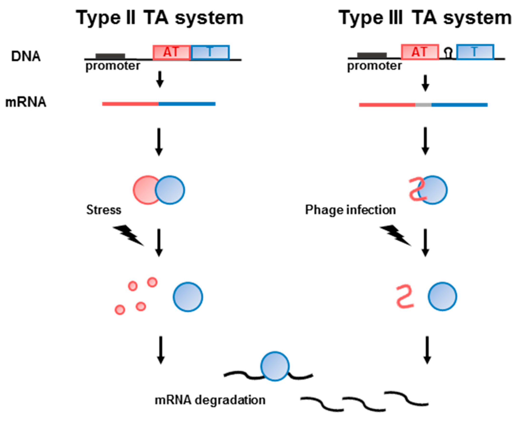 Toxins 10 00515 g001