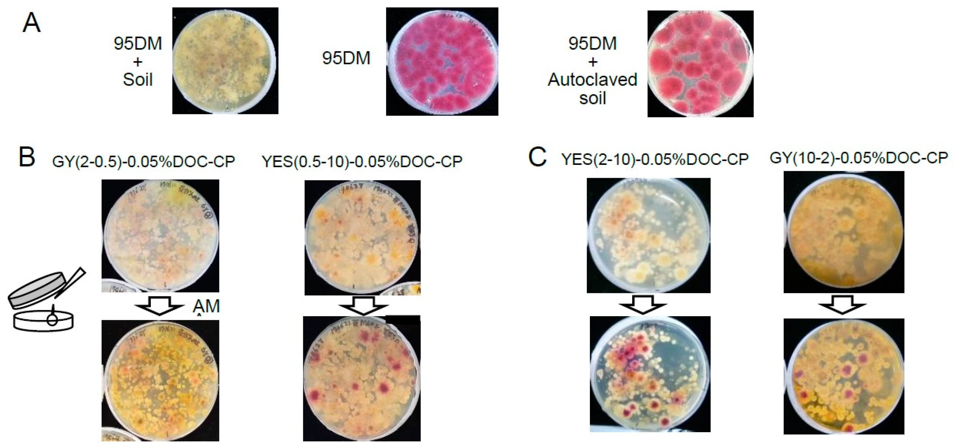 Toxins 10 00519 g002