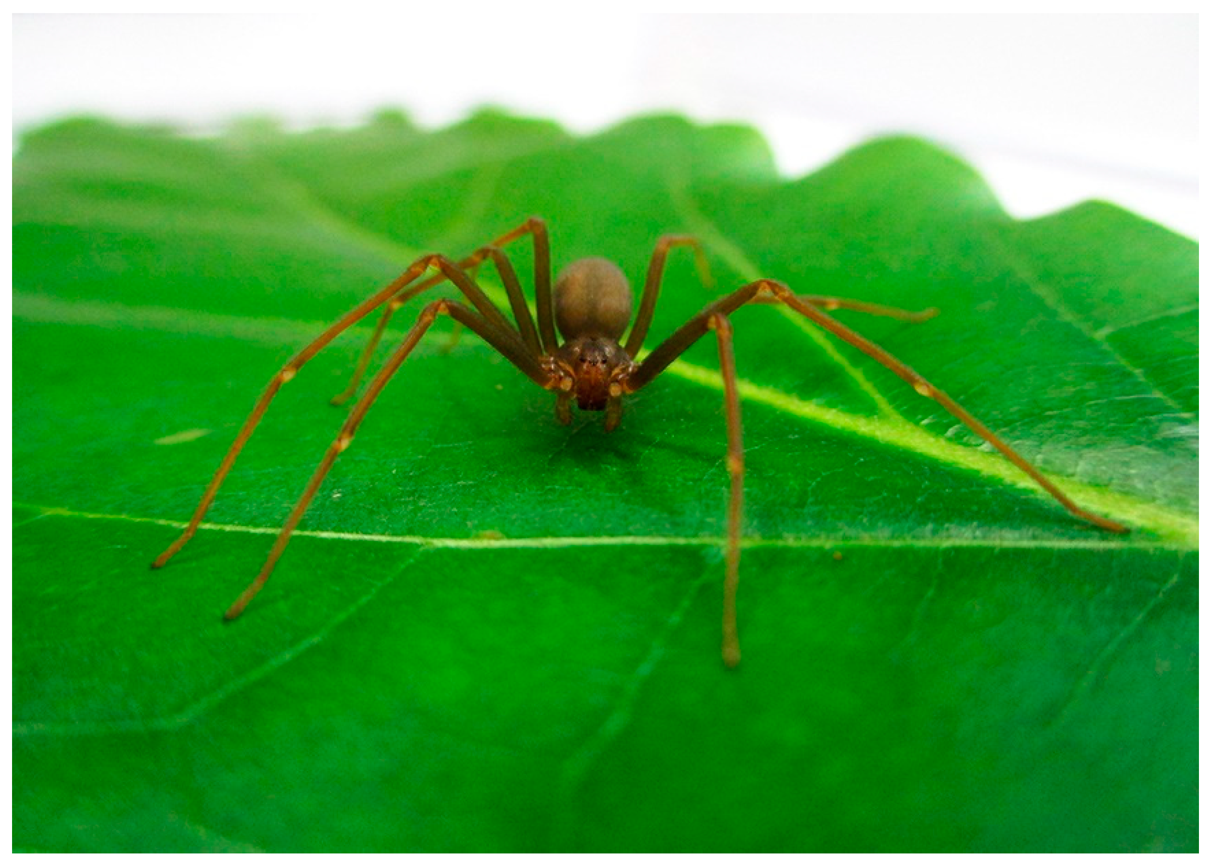 Toxins 10 00522 g009