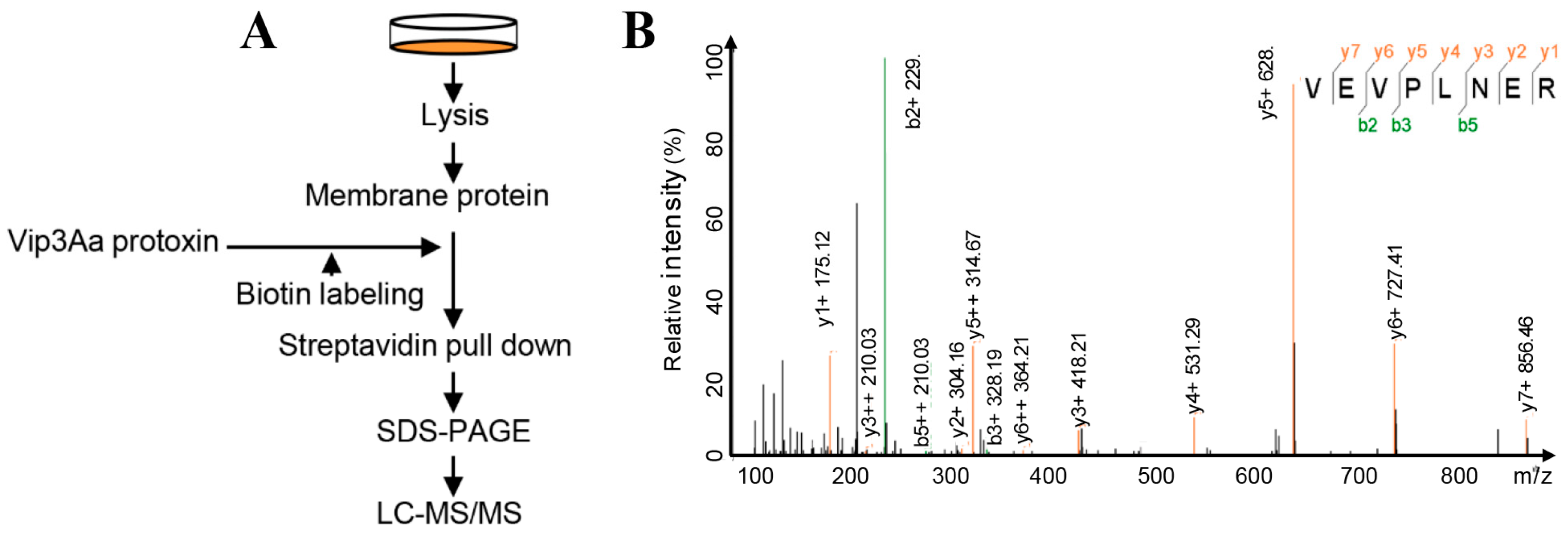 Toxins 10 00546 g001