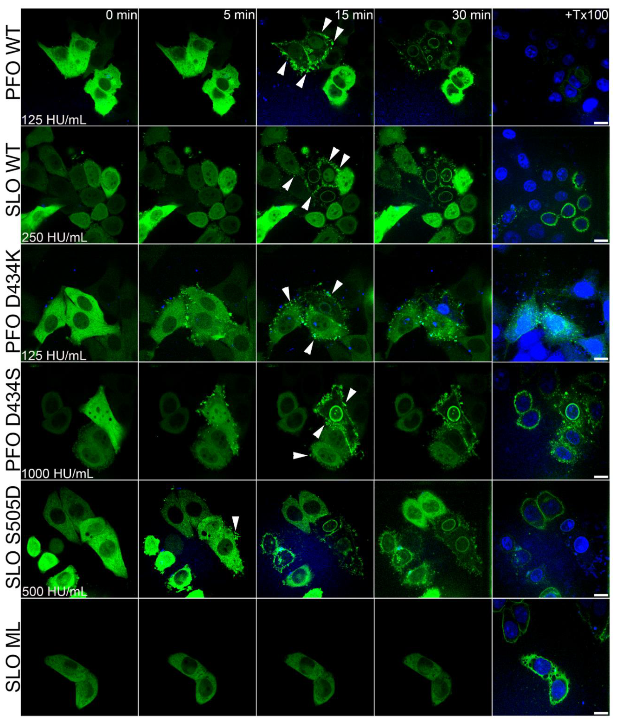 Toxins 11 00001 g004