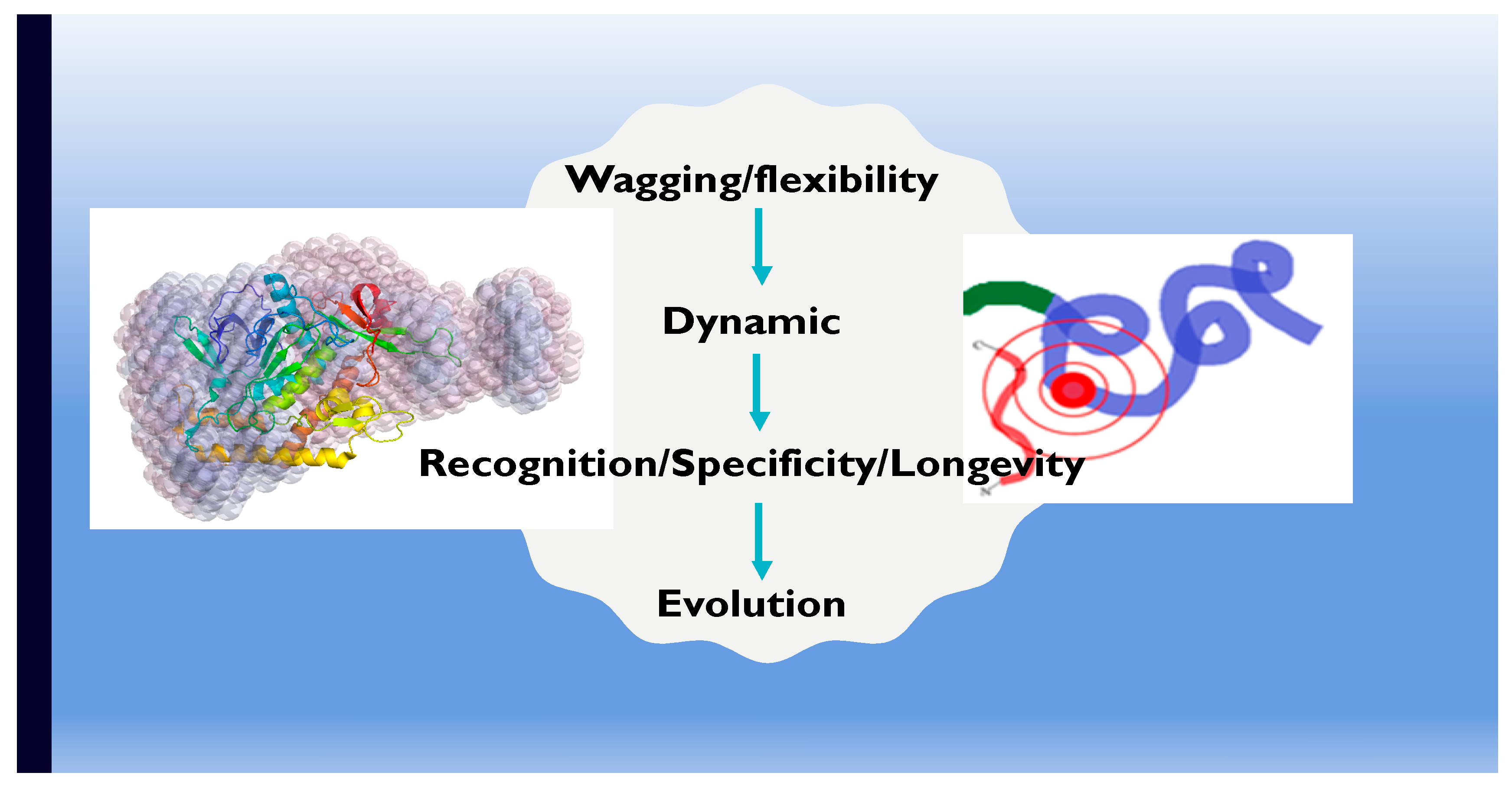 Toxins 11 00015 g004