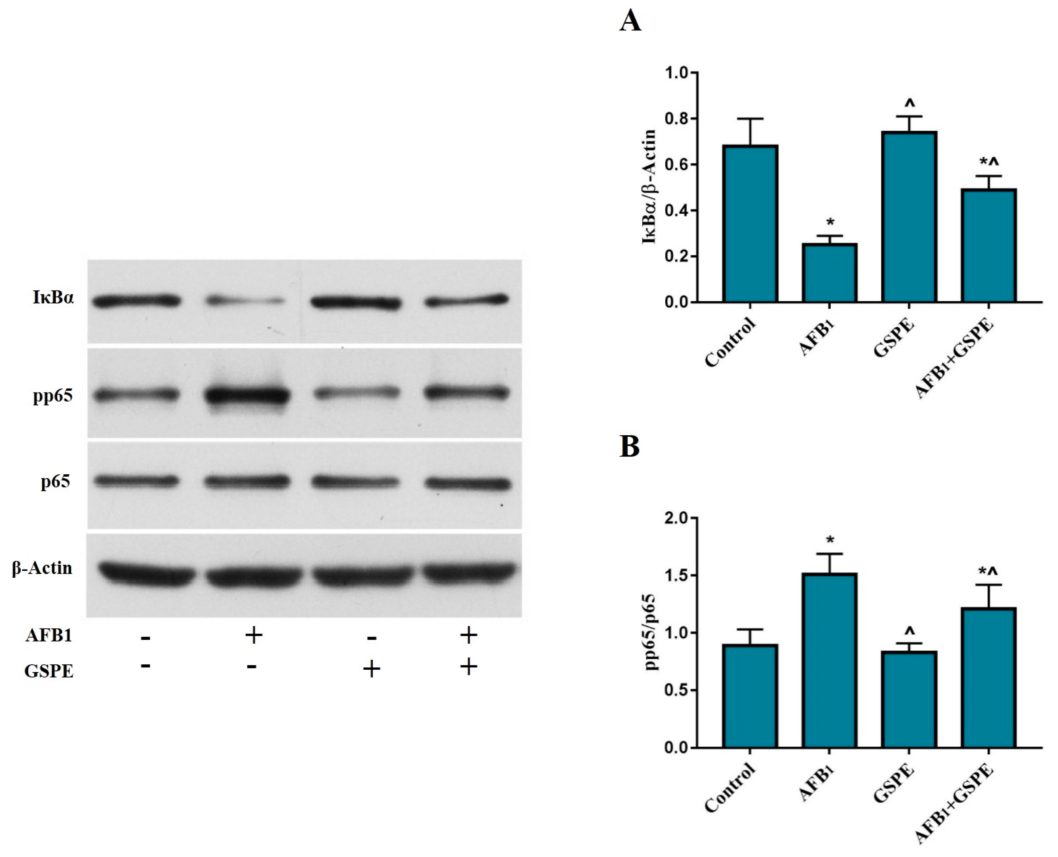 Toxins 11 00023 g003