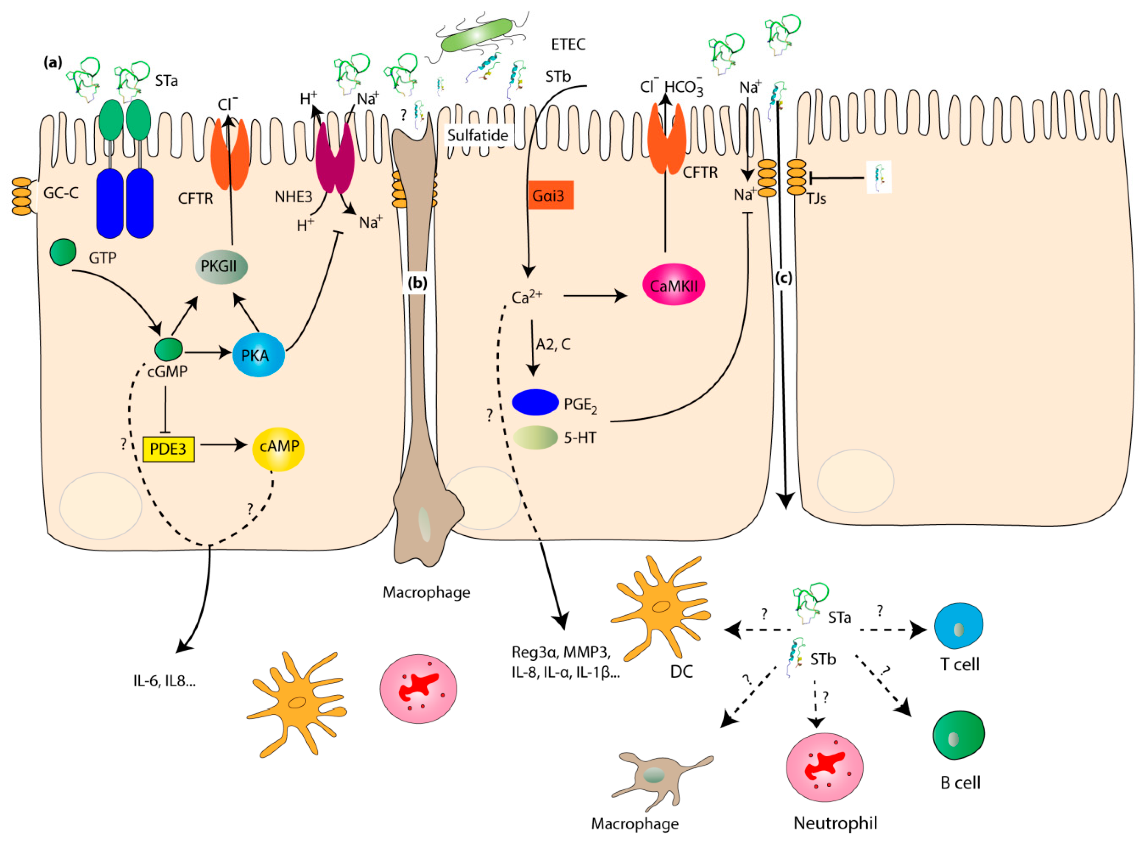 Toxins 11 00024 g002 Toxins 11 00024 g002