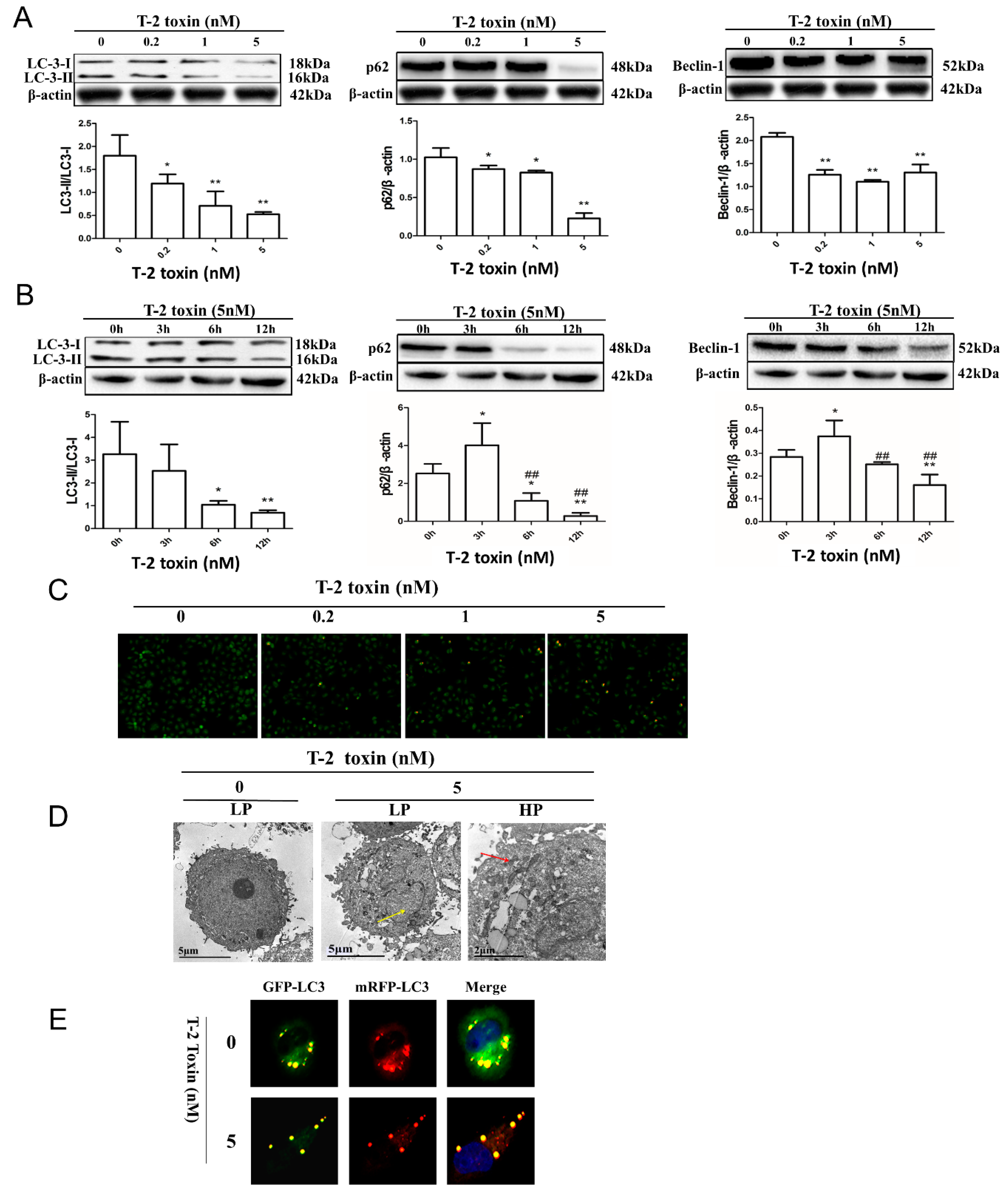 Toxins 11 00045 g003 Toxins 11 00045 g003