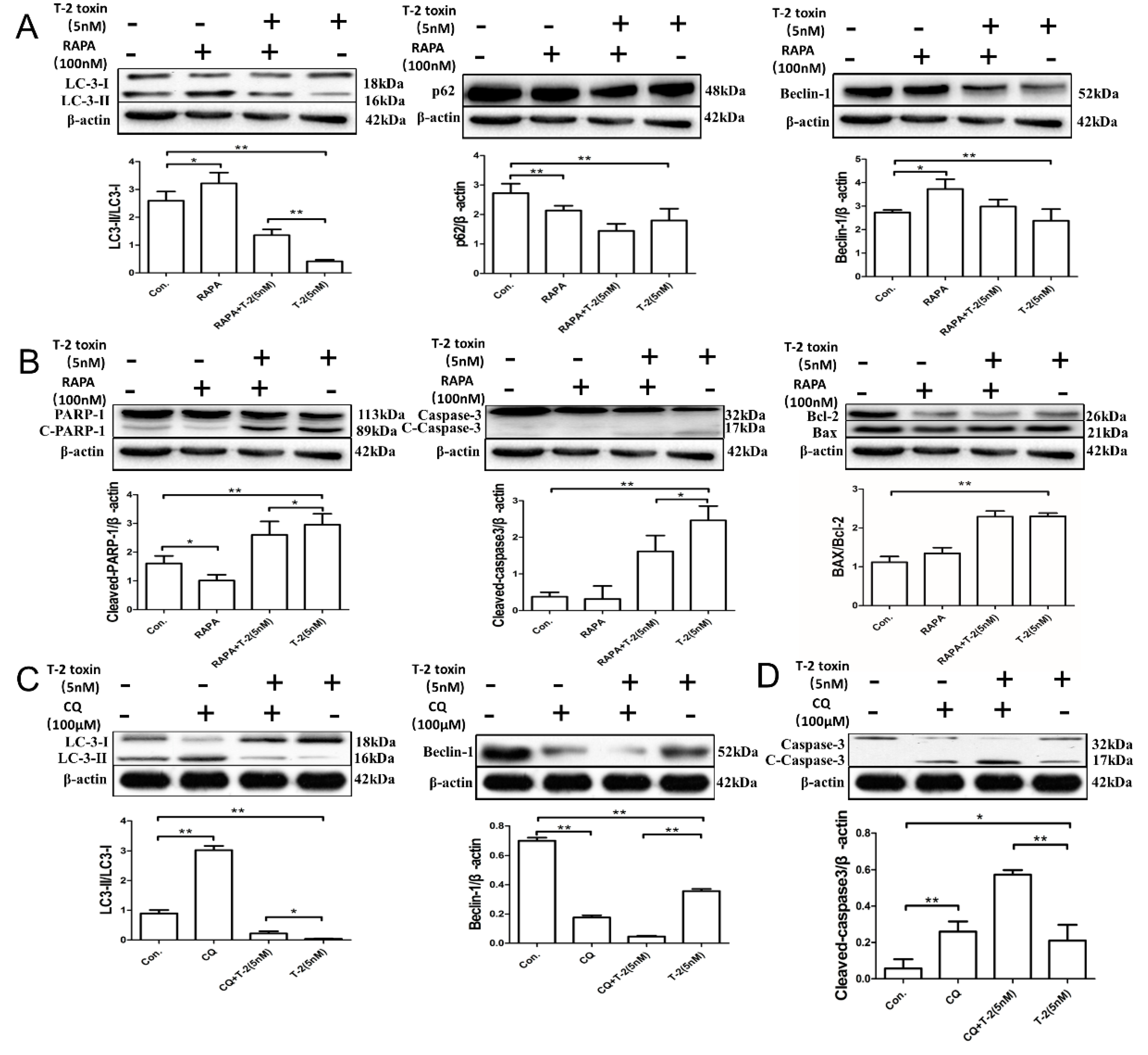 Toxins 11 00045 g004a Toxins 11 00045 g004a