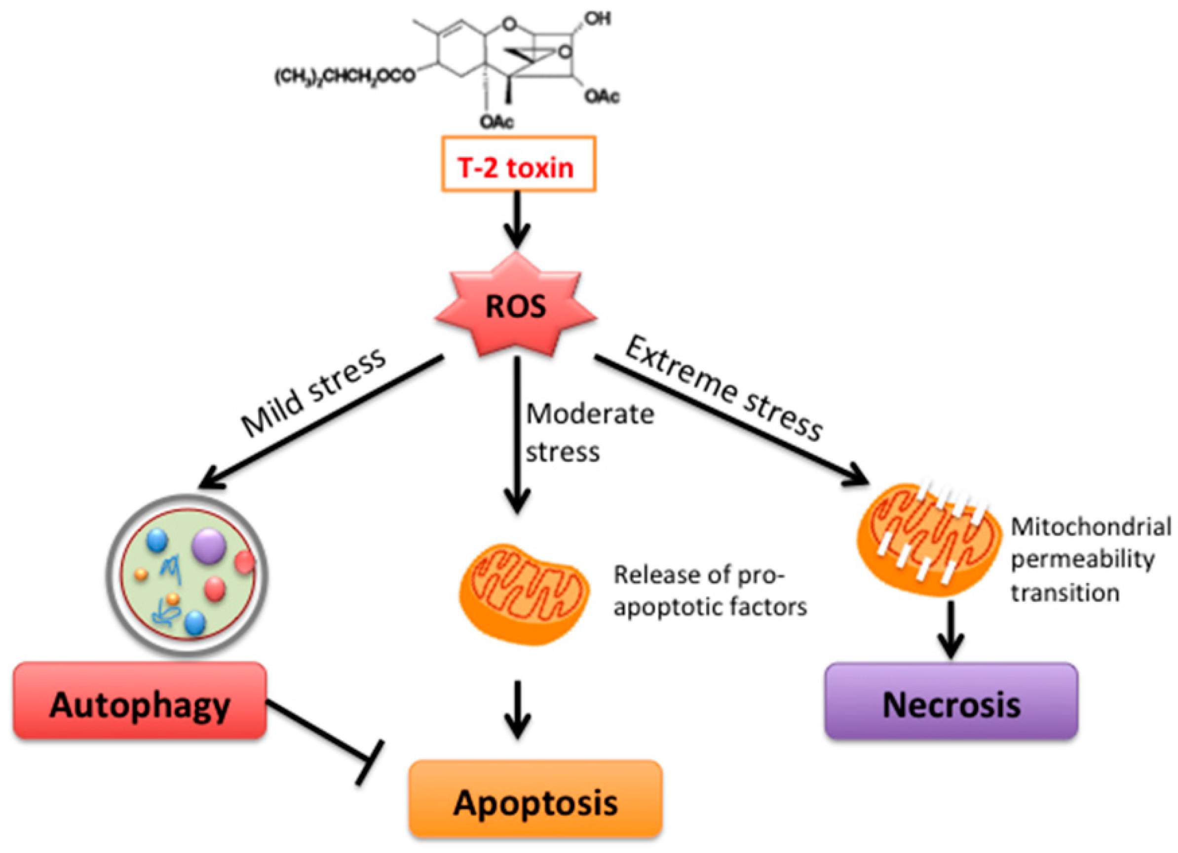 Toxins 11 00045 g005 Toxins 11 00045 g005