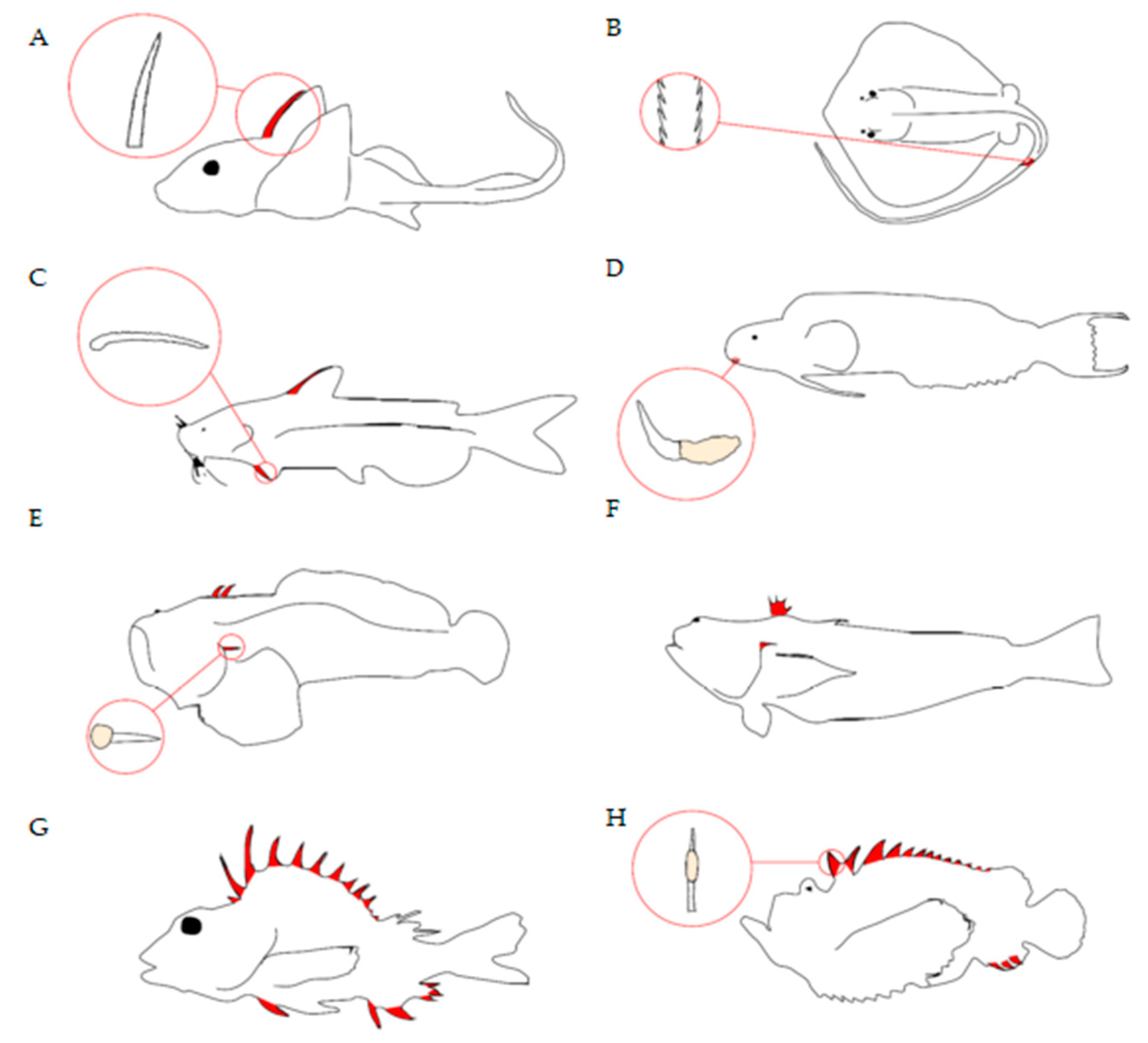 Toxins 11 00060 g002 Toxins 11 00060 g002