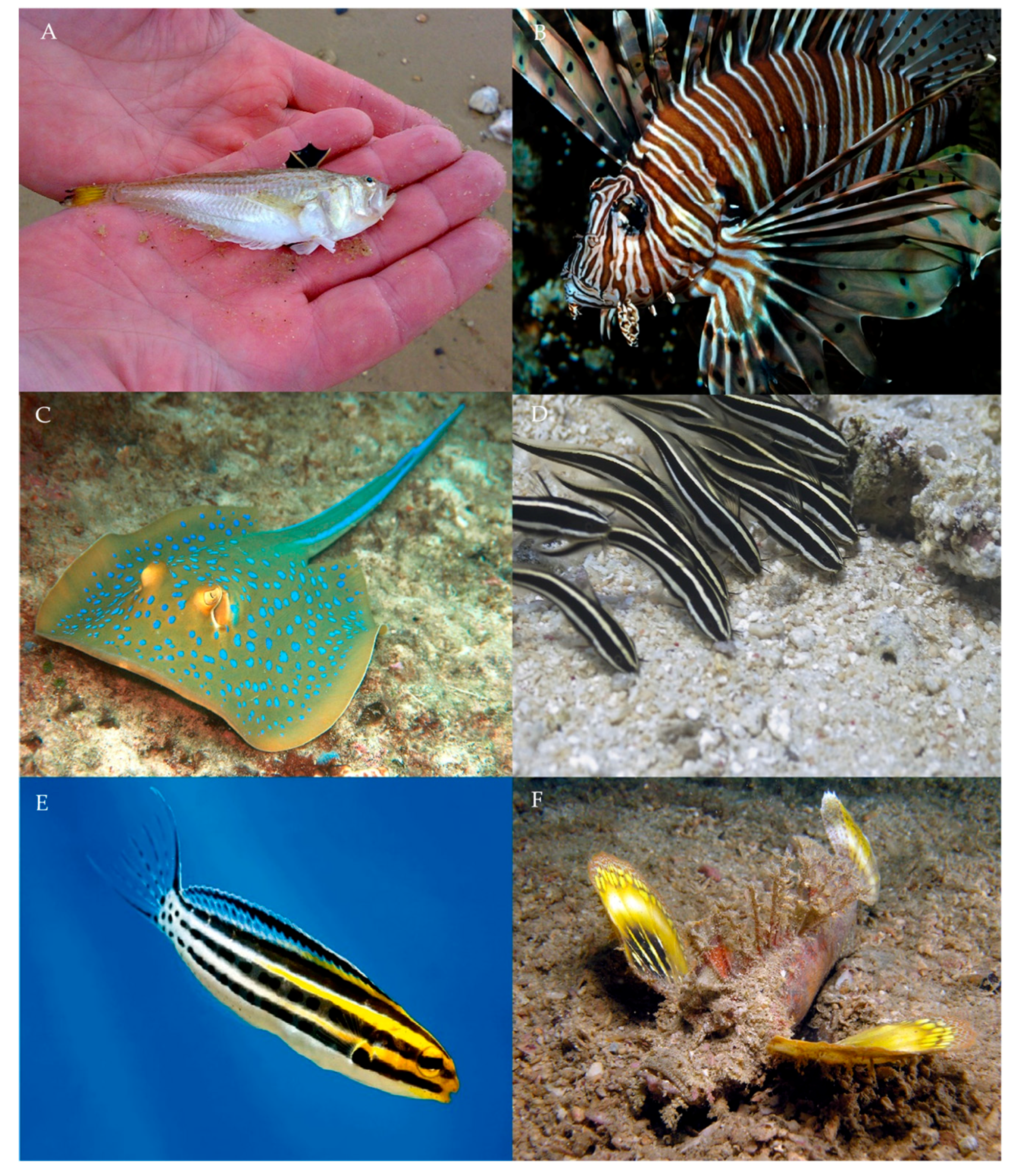 Toxins 11 00060 g003 Toxins 11 00060 g003