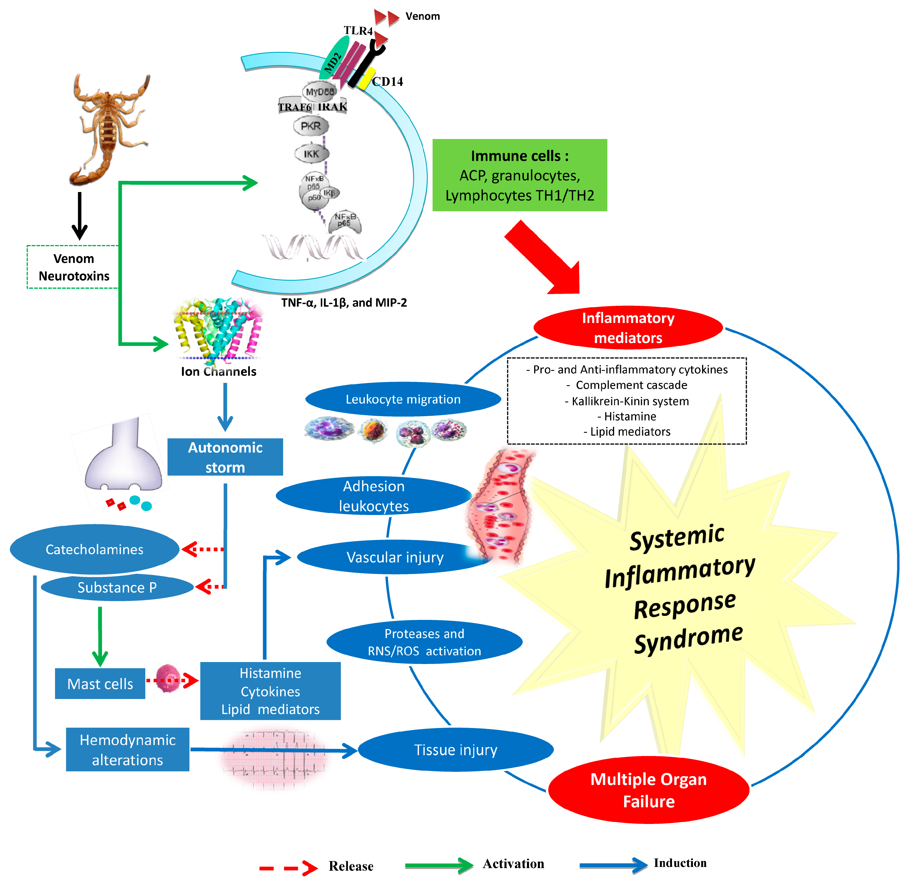 Toxins 11 00063 g001