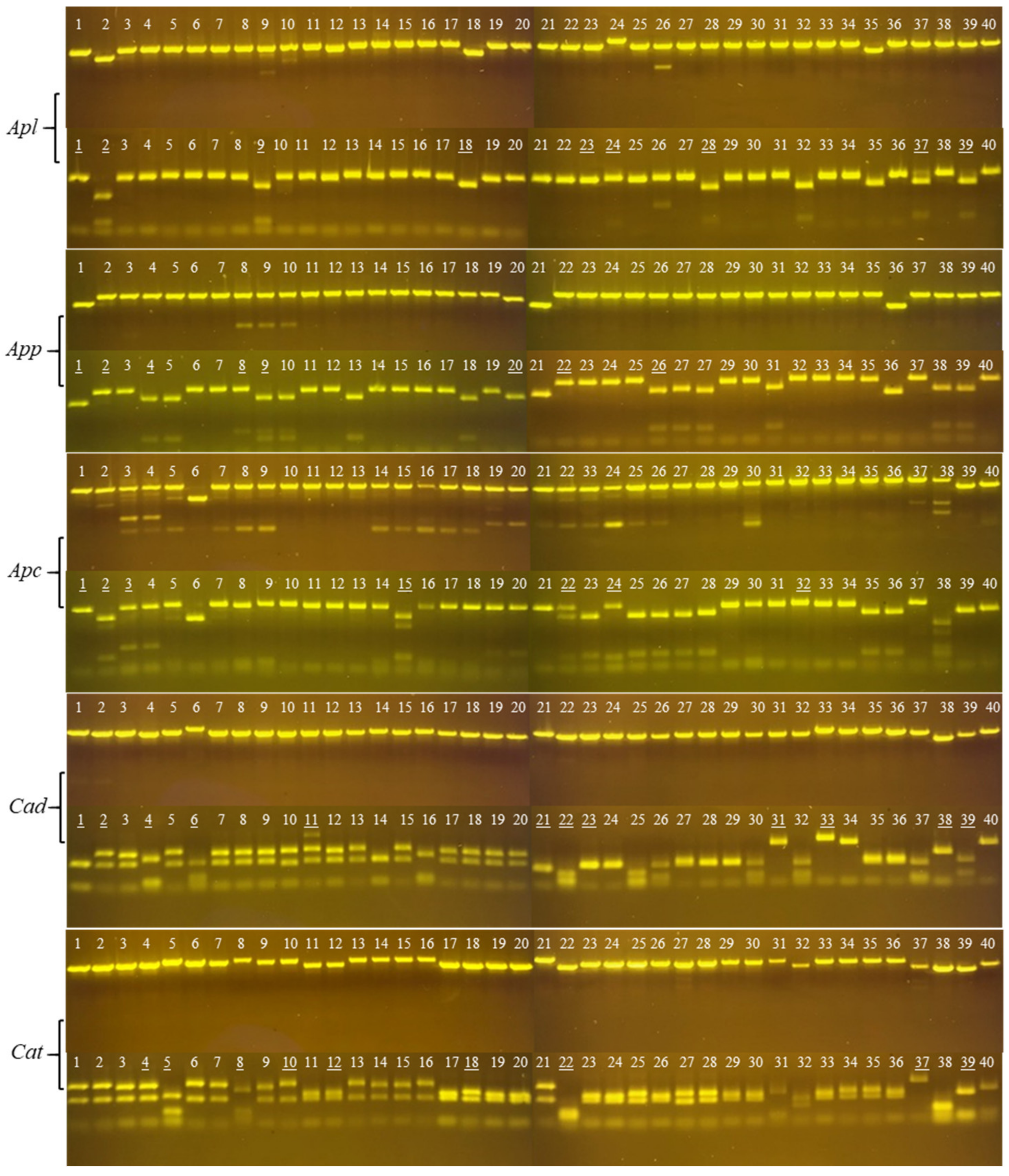 Toxins 11 00069 g002