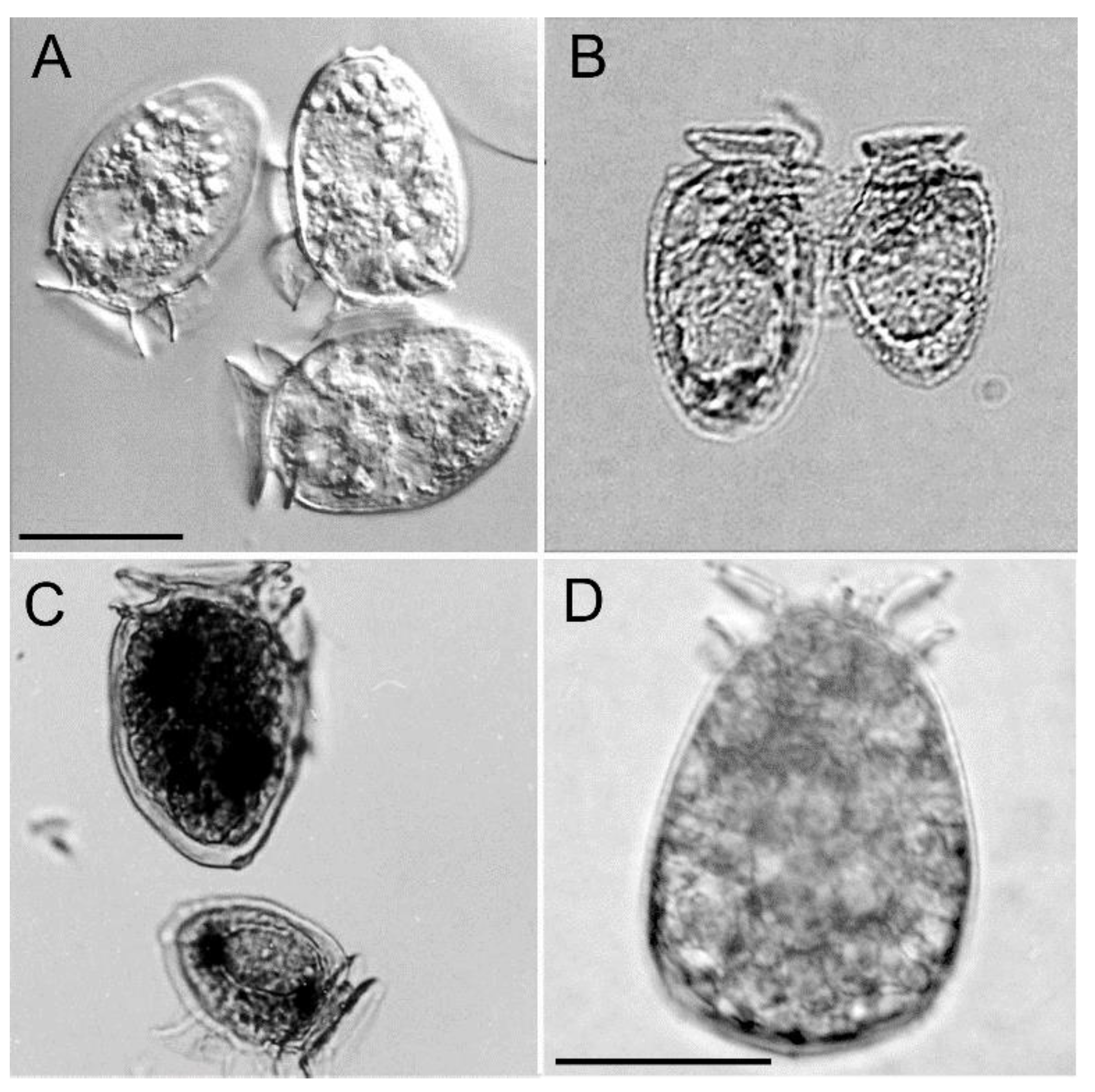 Toxins 11 00074 g002