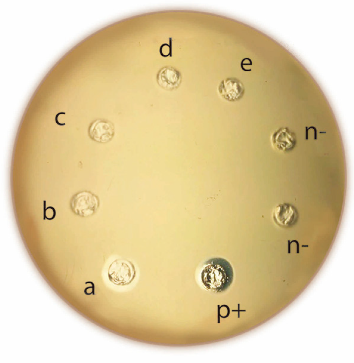 Toxins 11 00089 g001
