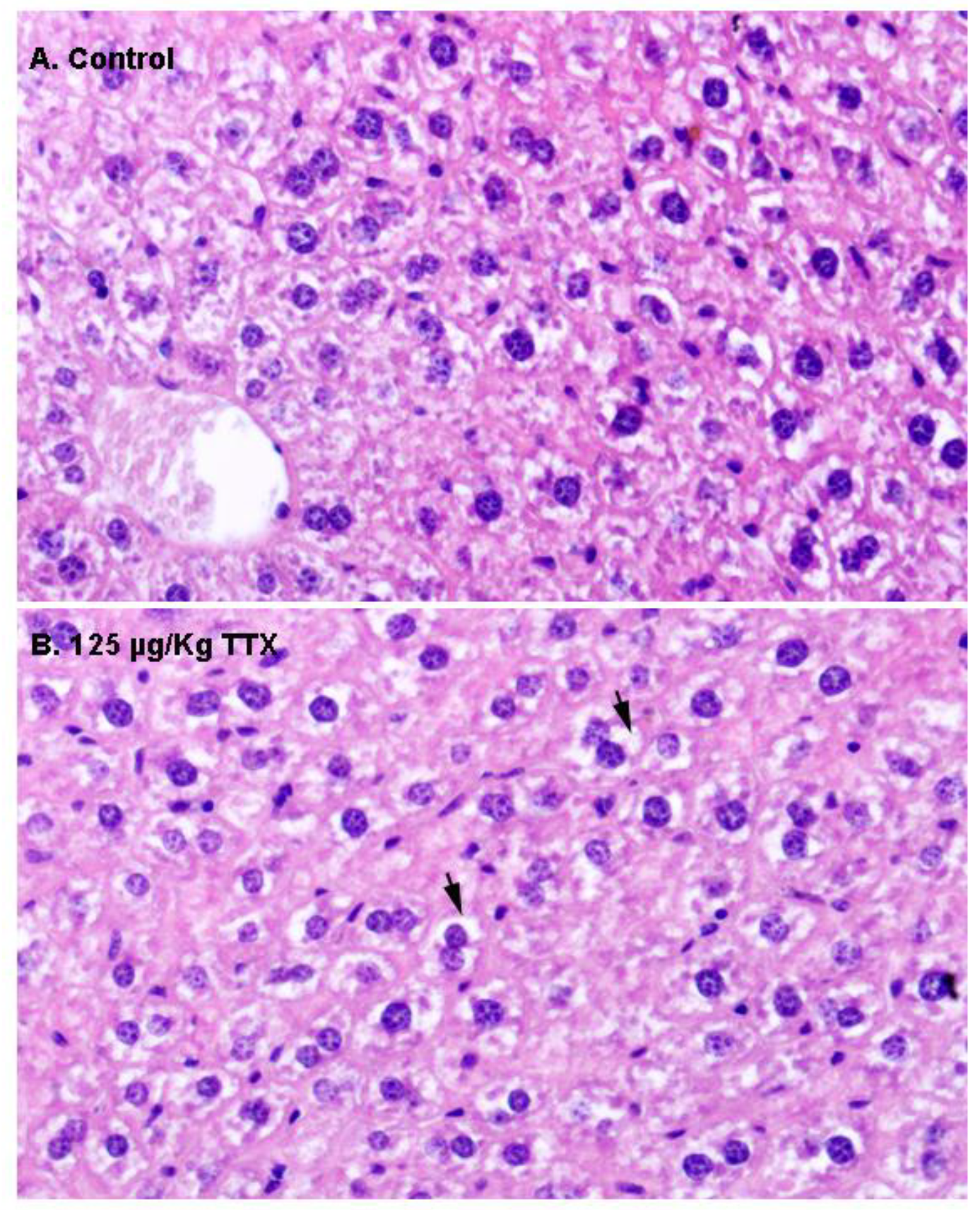 Toxins 11 00096 g002