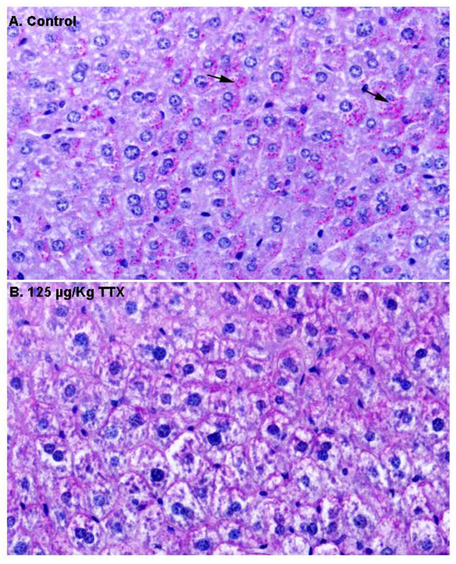 Toxins 11 00096 g003