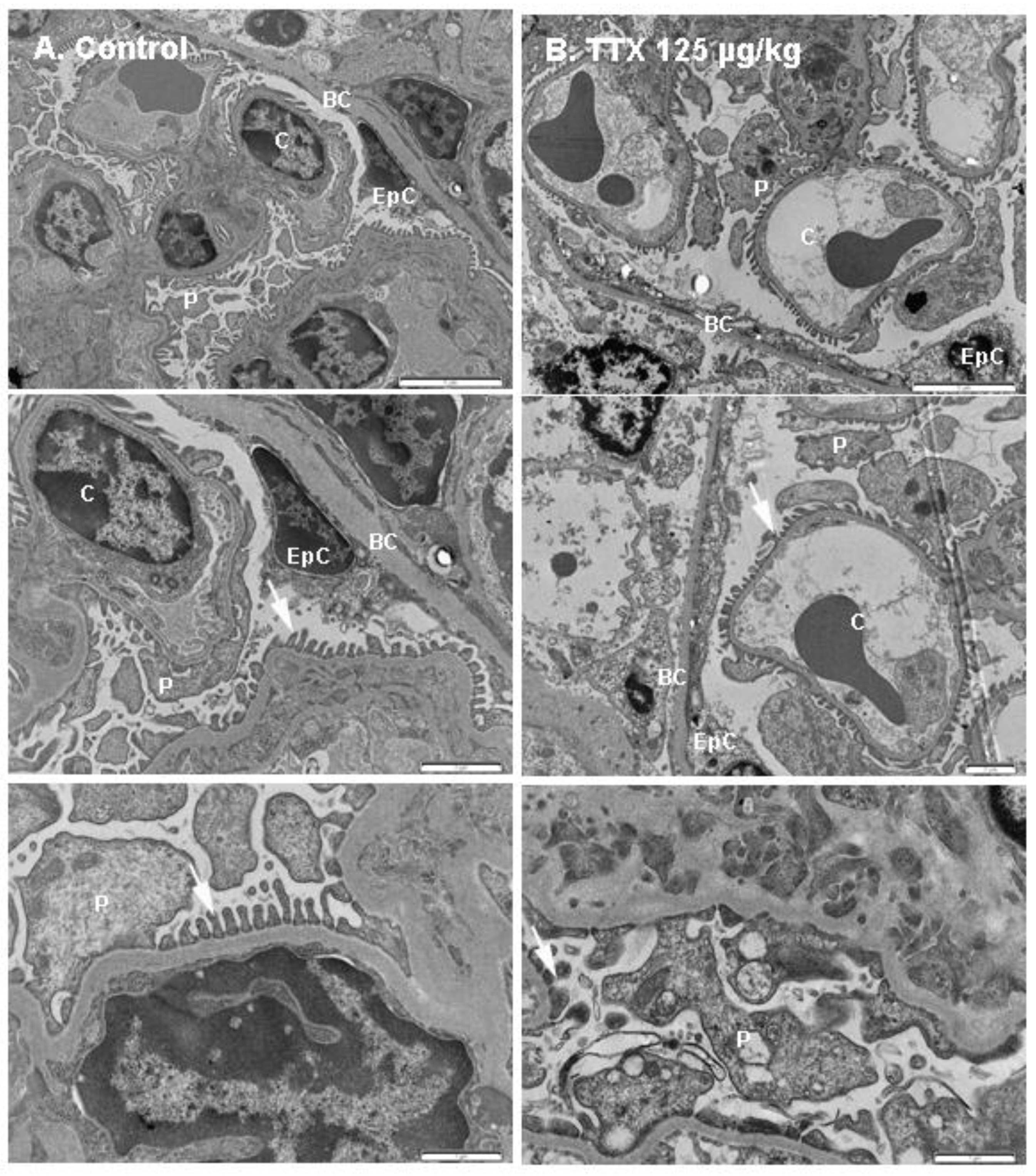 Toxins 11 00096 g007