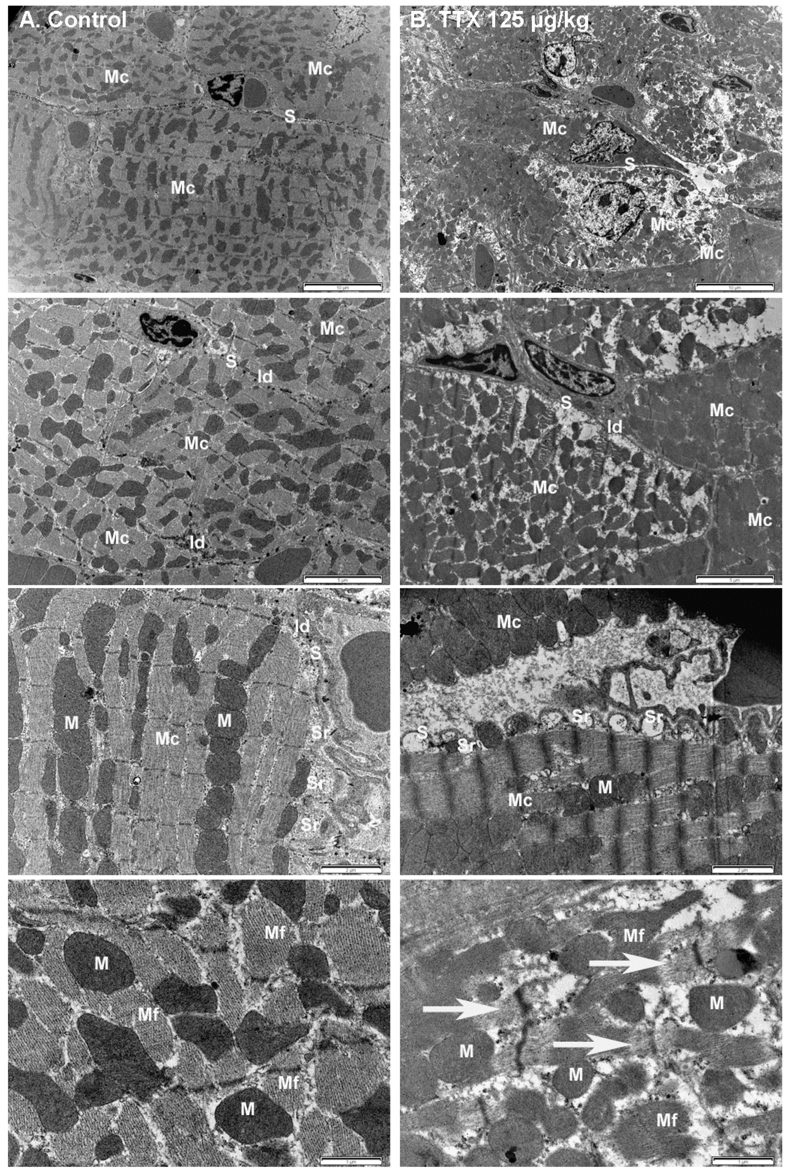 Toxins 11 00096 g008
