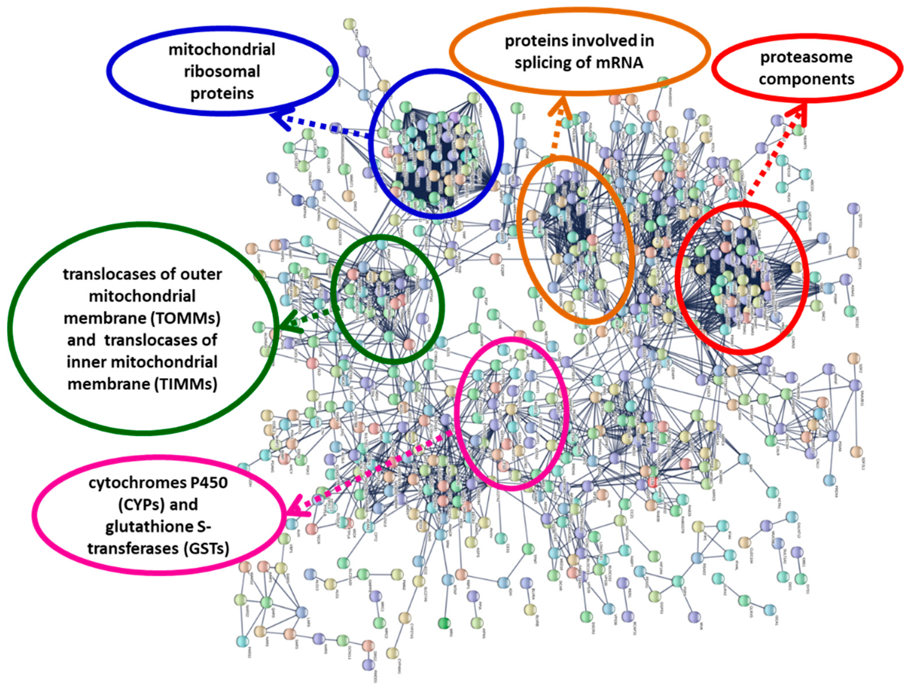 Toxins 11 00097 g003