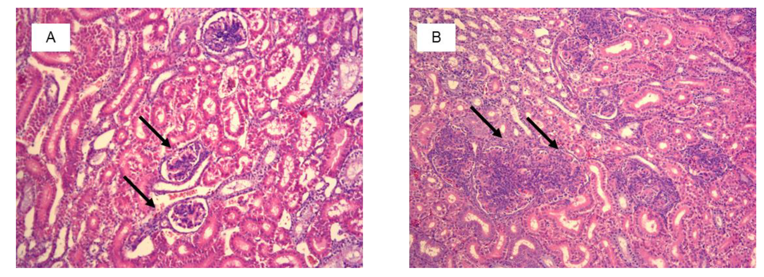 Toxins 11 00112 g004