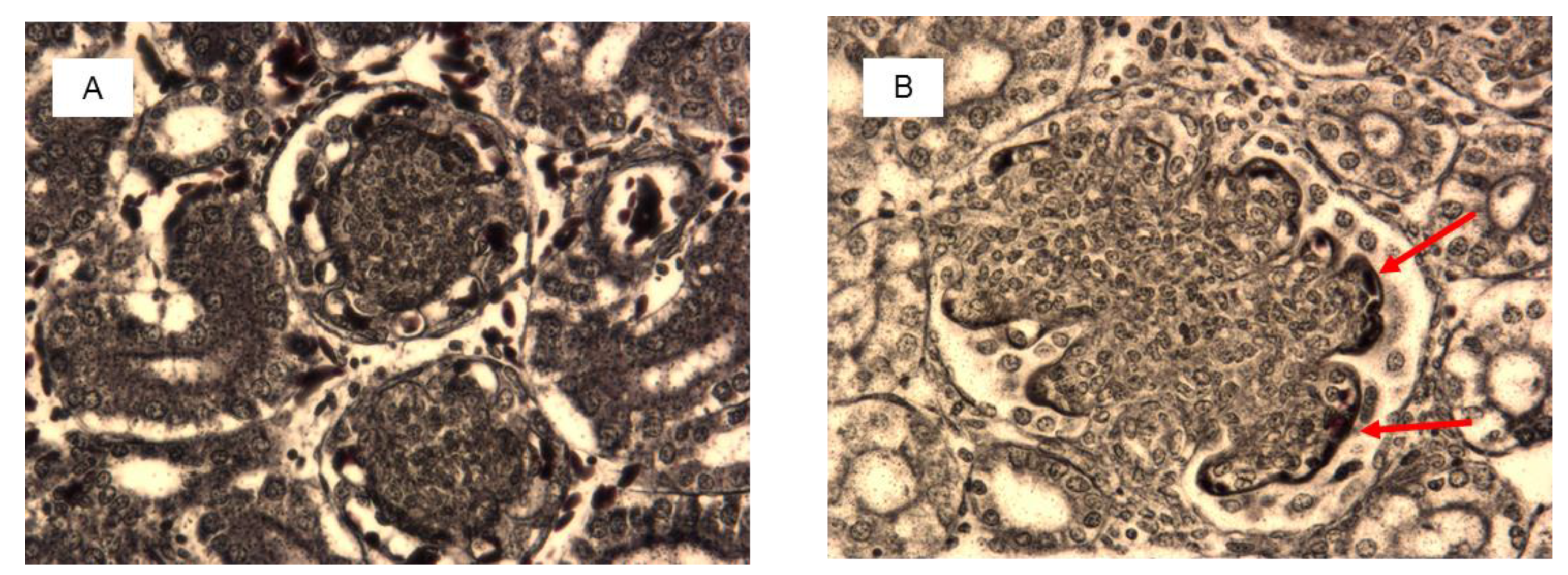 Toxins 11 00112 g005