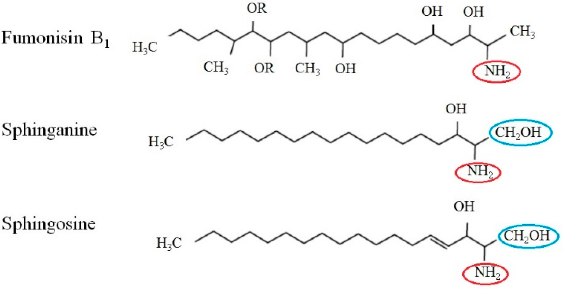 Toxins 11 00114 g001 Toxins 11 00114 g001