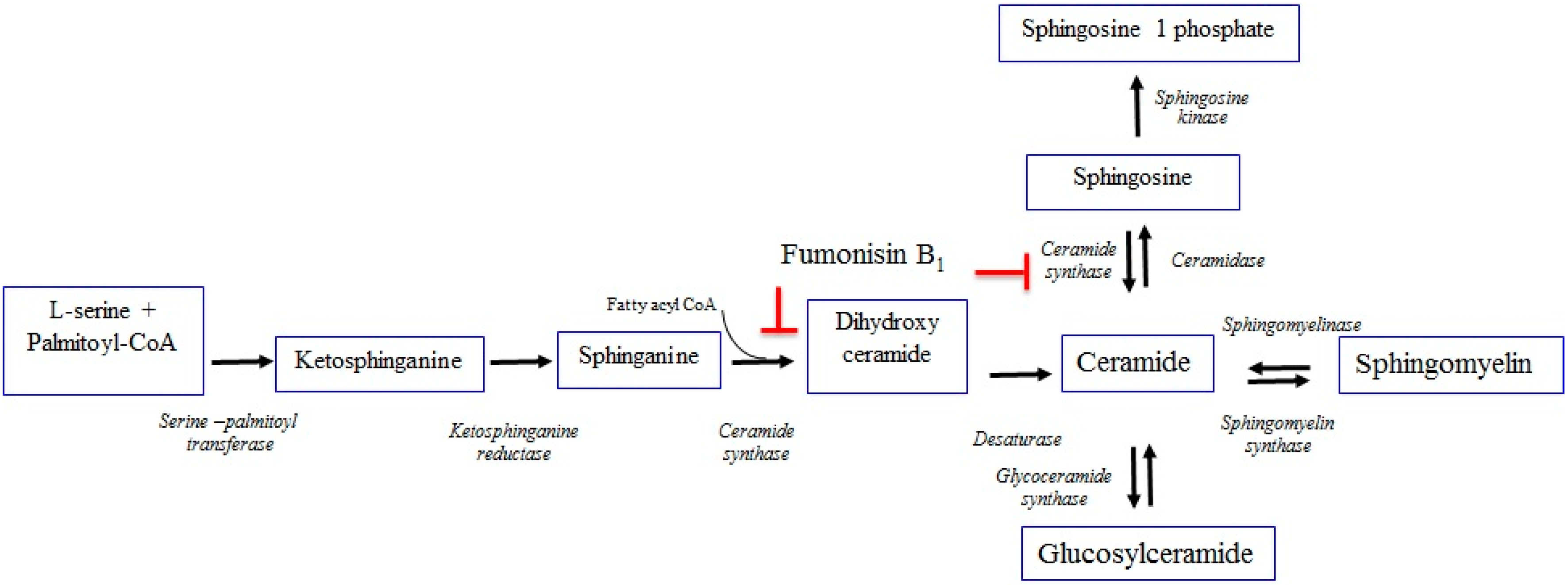 Toxins 11 00114 g002 Toxins 11 00114 g002