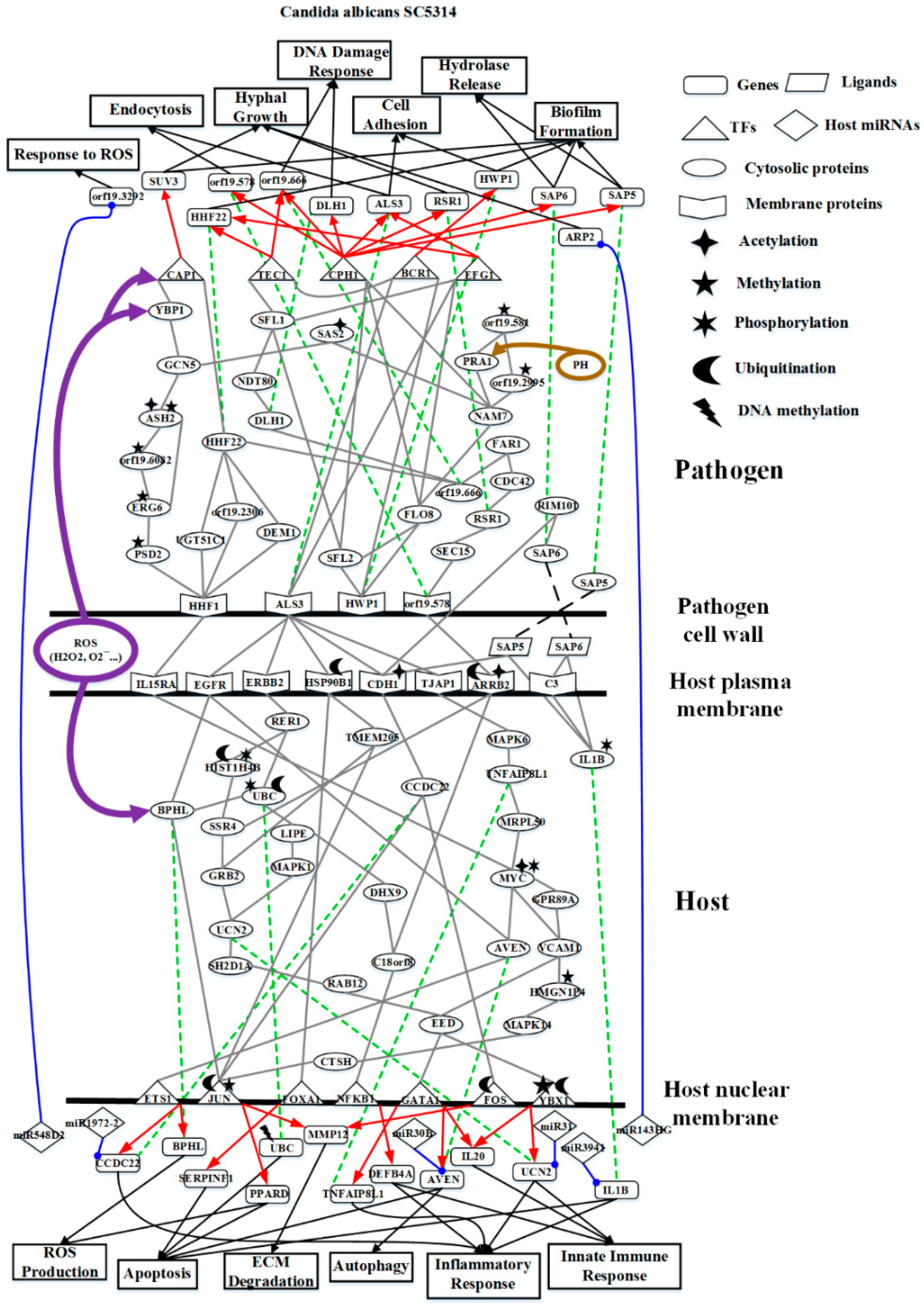 Toxins 11 00119 g001 Toxins 11 00119 g001