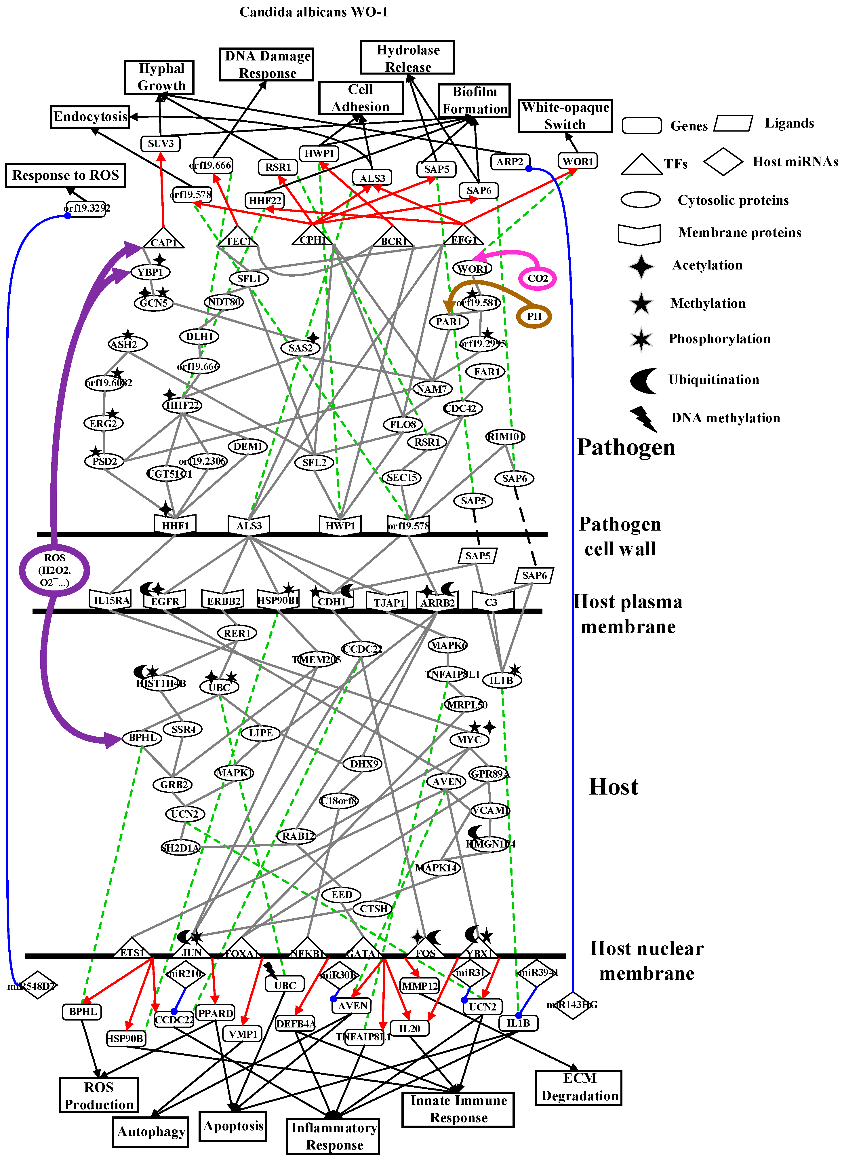 Toxins 11 00119 g002 Toxins 11 00119 g002