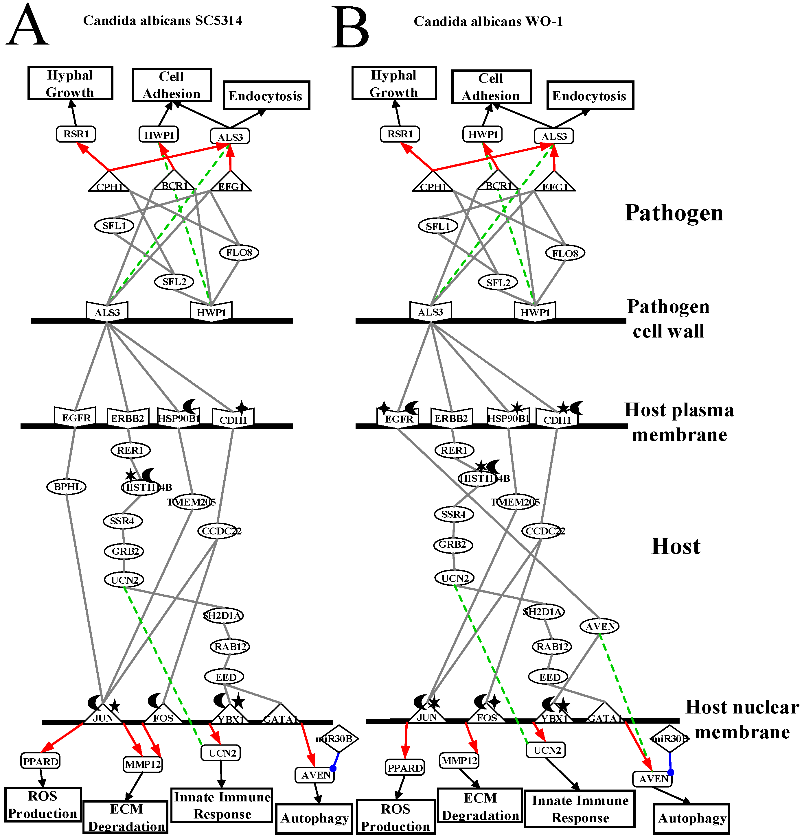Toxins 11 00119 g003 Toxins 11 00119 g003