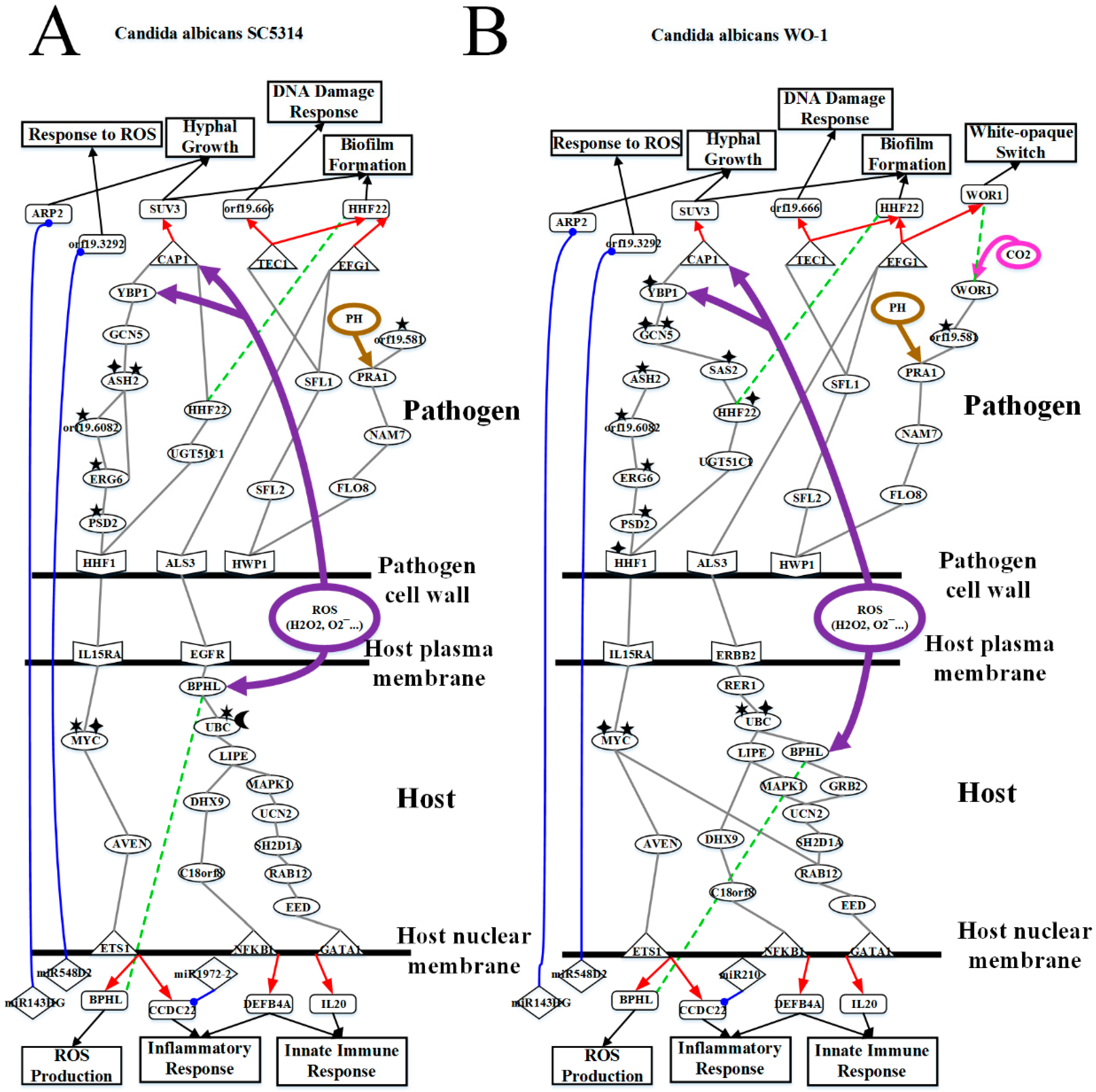 Toxins 11 00119 g004 Toxins 11 00119 g004