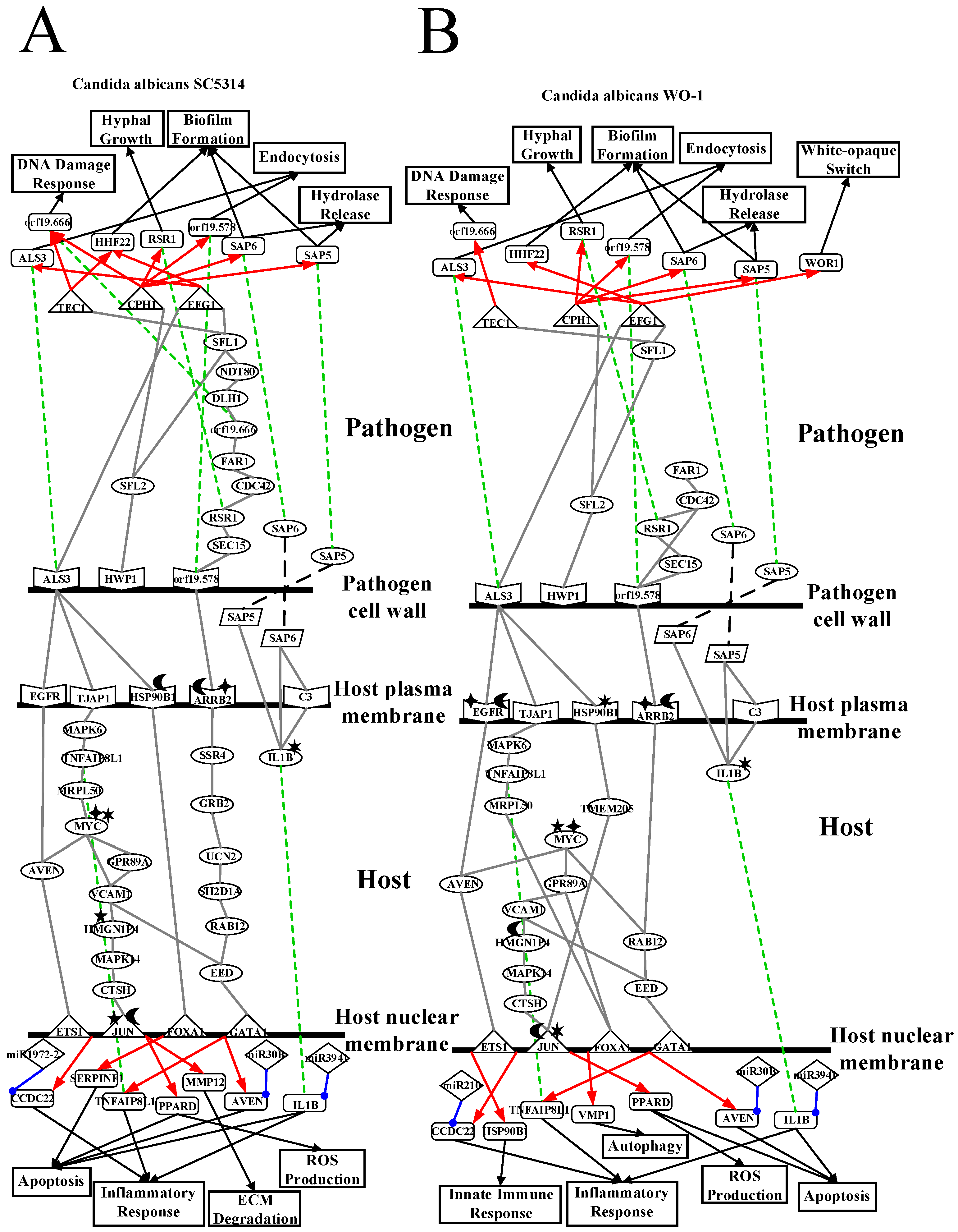 Toxins 11 00119 g005 Toxins 11 00119 g005