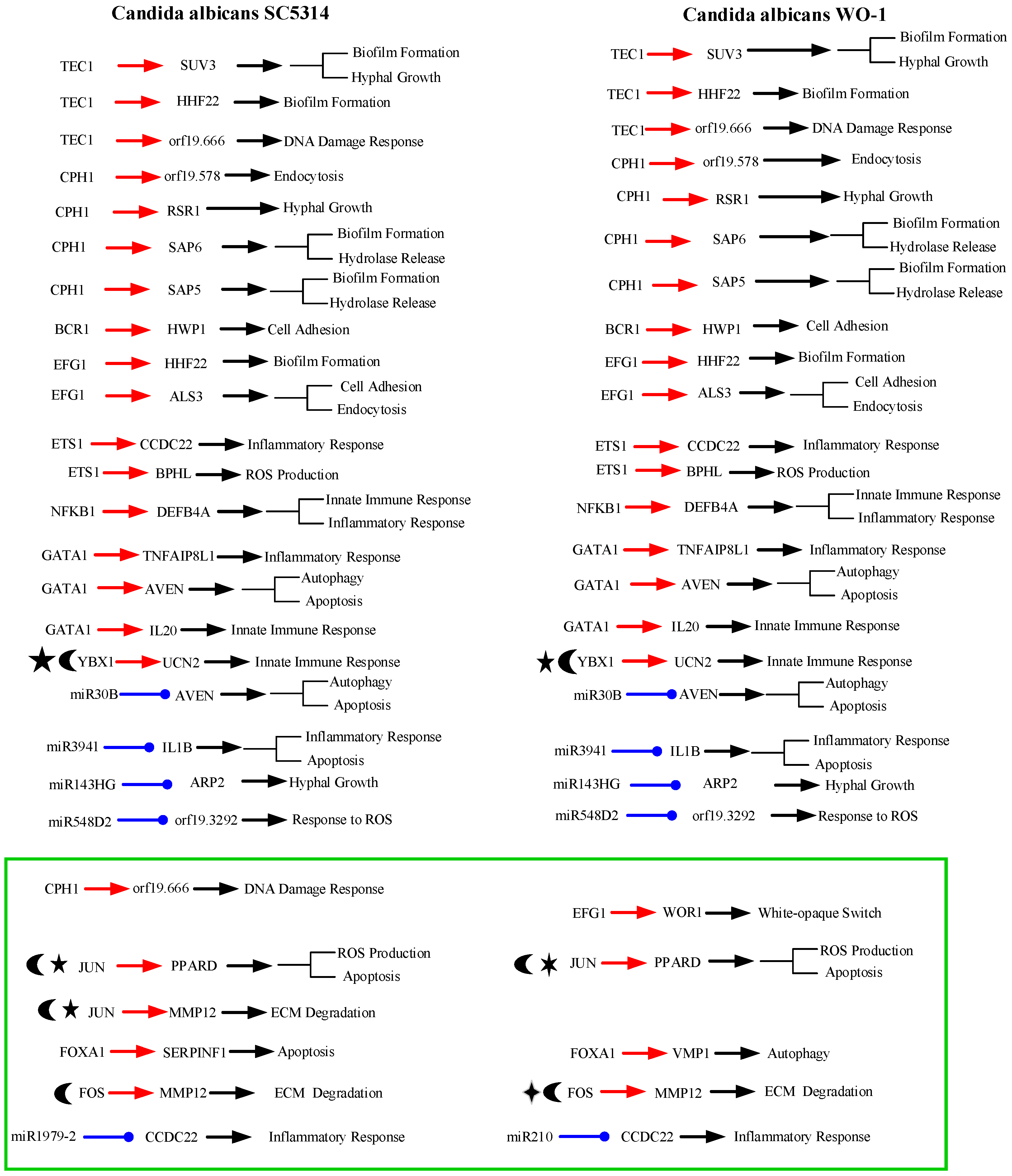 Toxins 11 00119 g006 Toxins 11 00119 g006