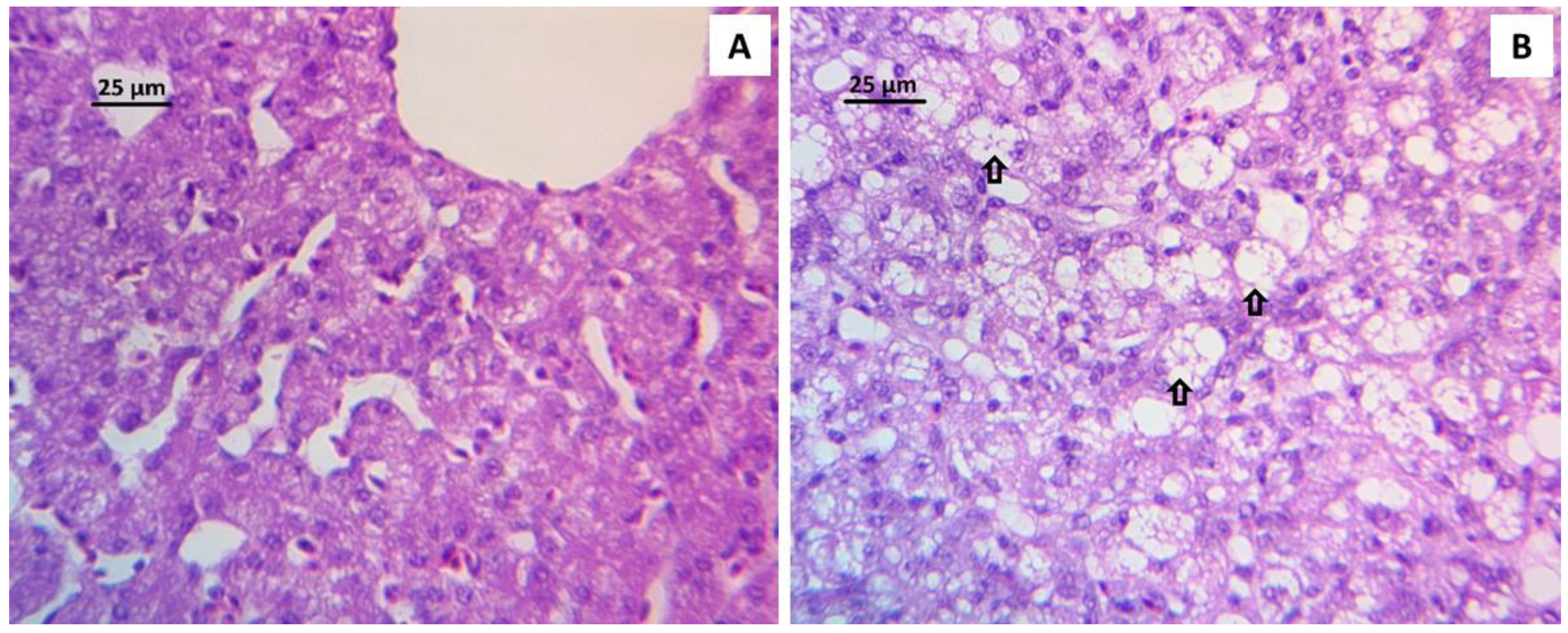 Toxins 11 00121 g001
