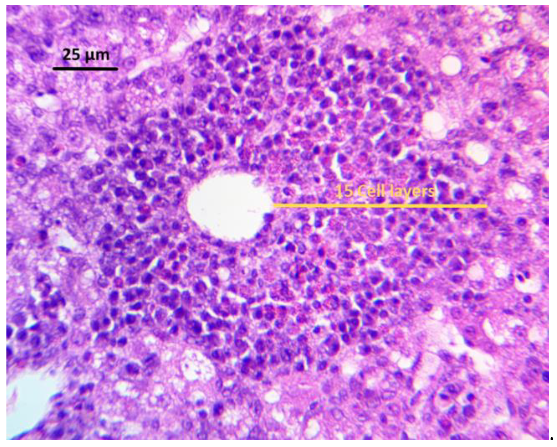 Toxins 11 00121 g002