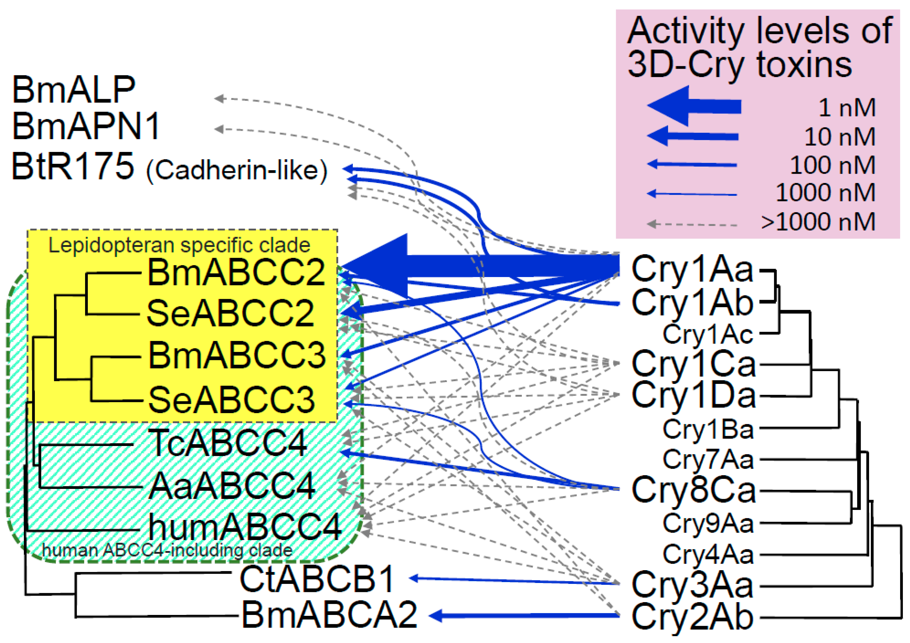 Toxins 11 00124 g001